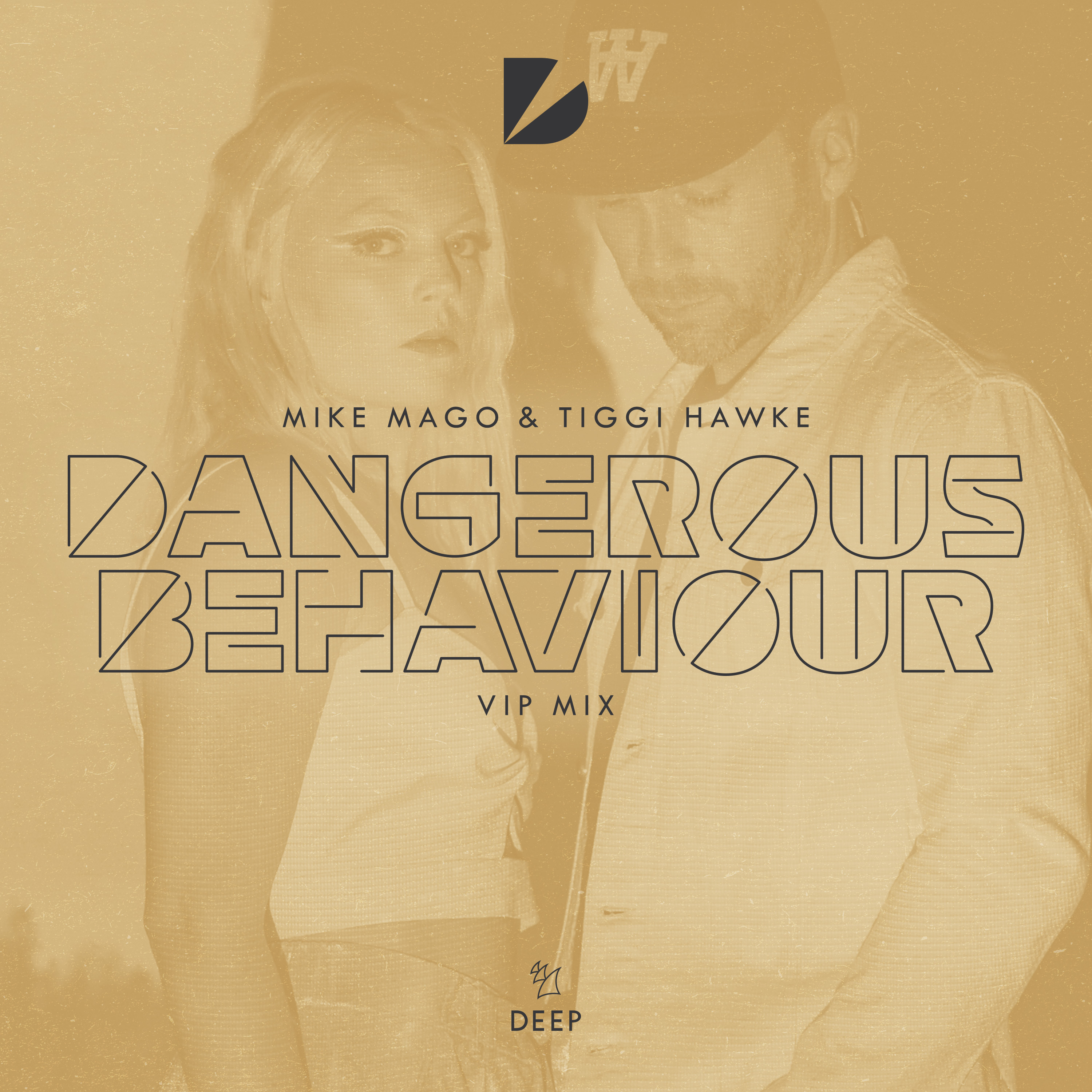 Dangerous Behaviour (VIP Mix)