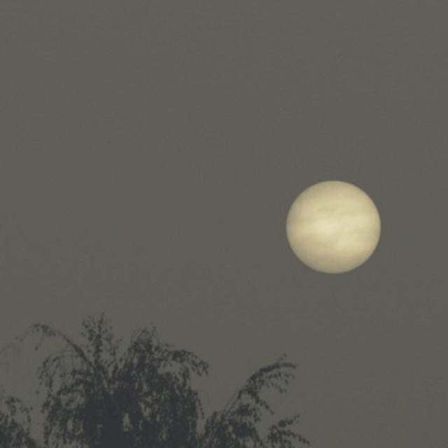 ai ren, he wo yi qi qu hai bian ba