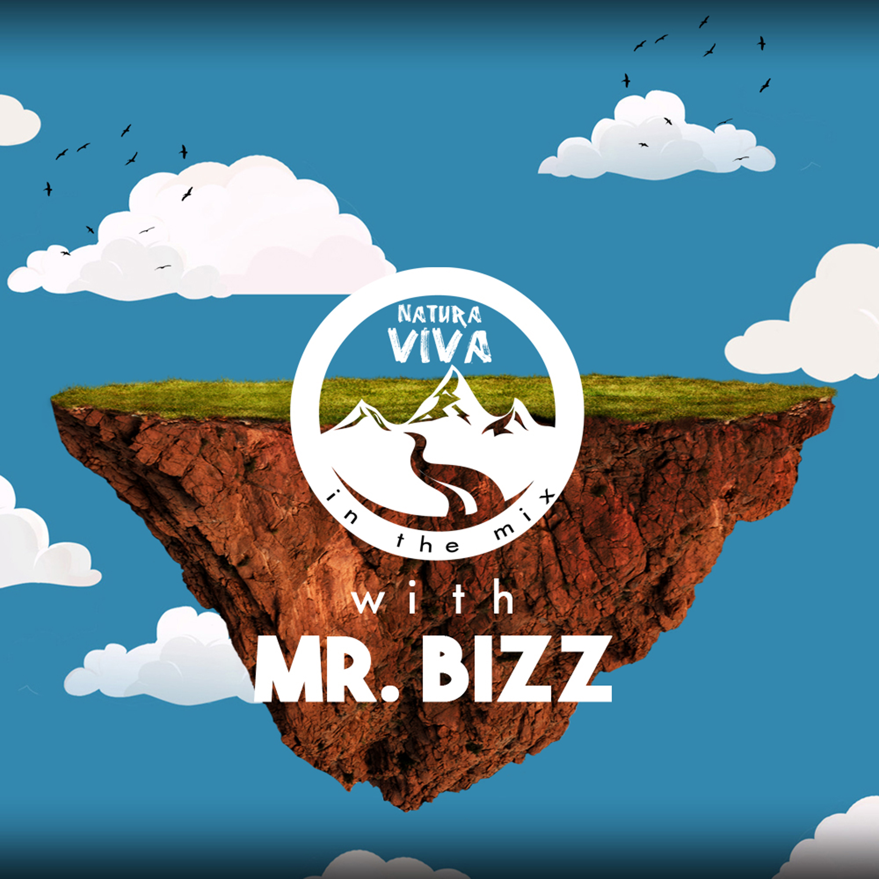 Natura Viva in the Mix With Mr. Bizz (Continuous DJ Mix)