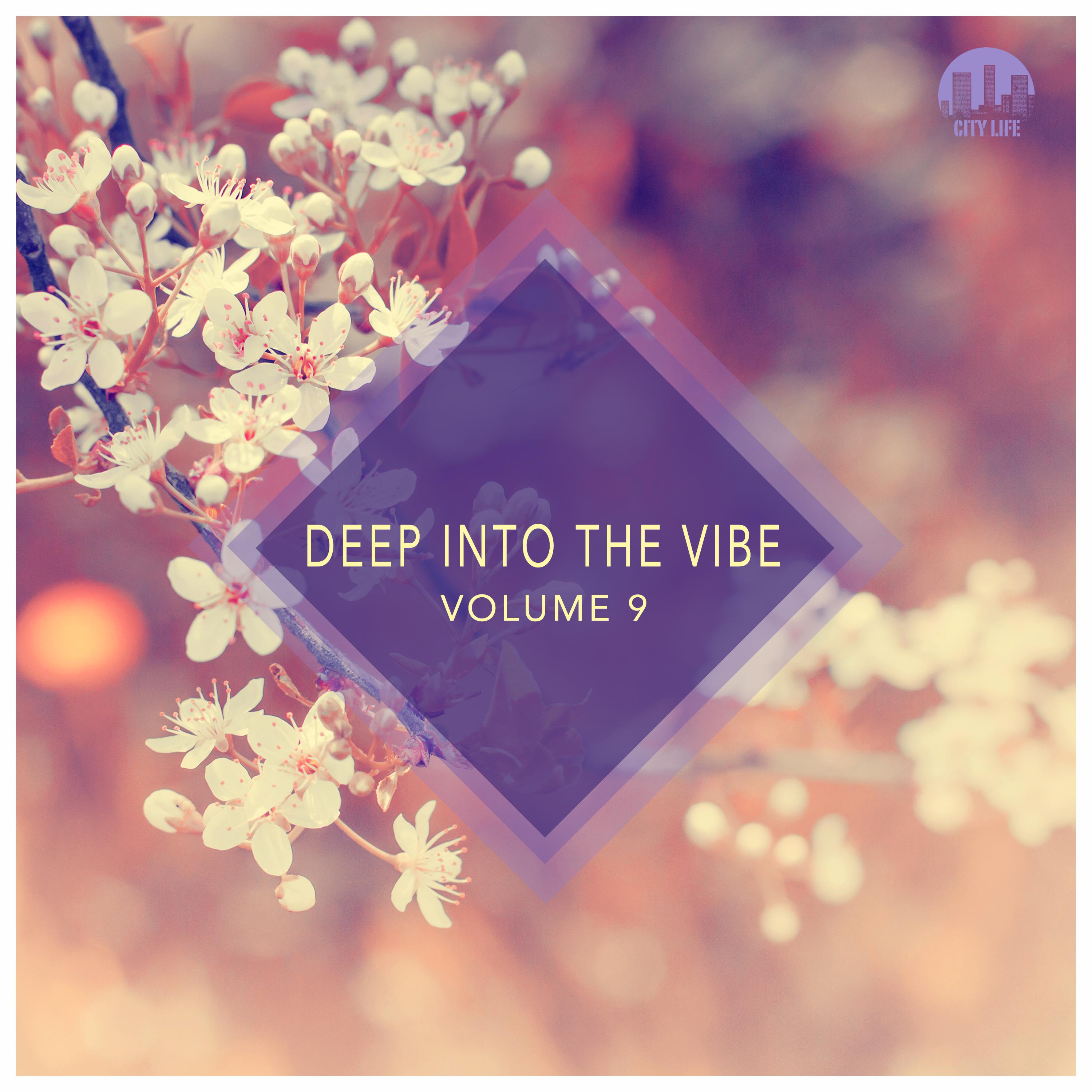 Deep Into the Vibe, Vol. 9