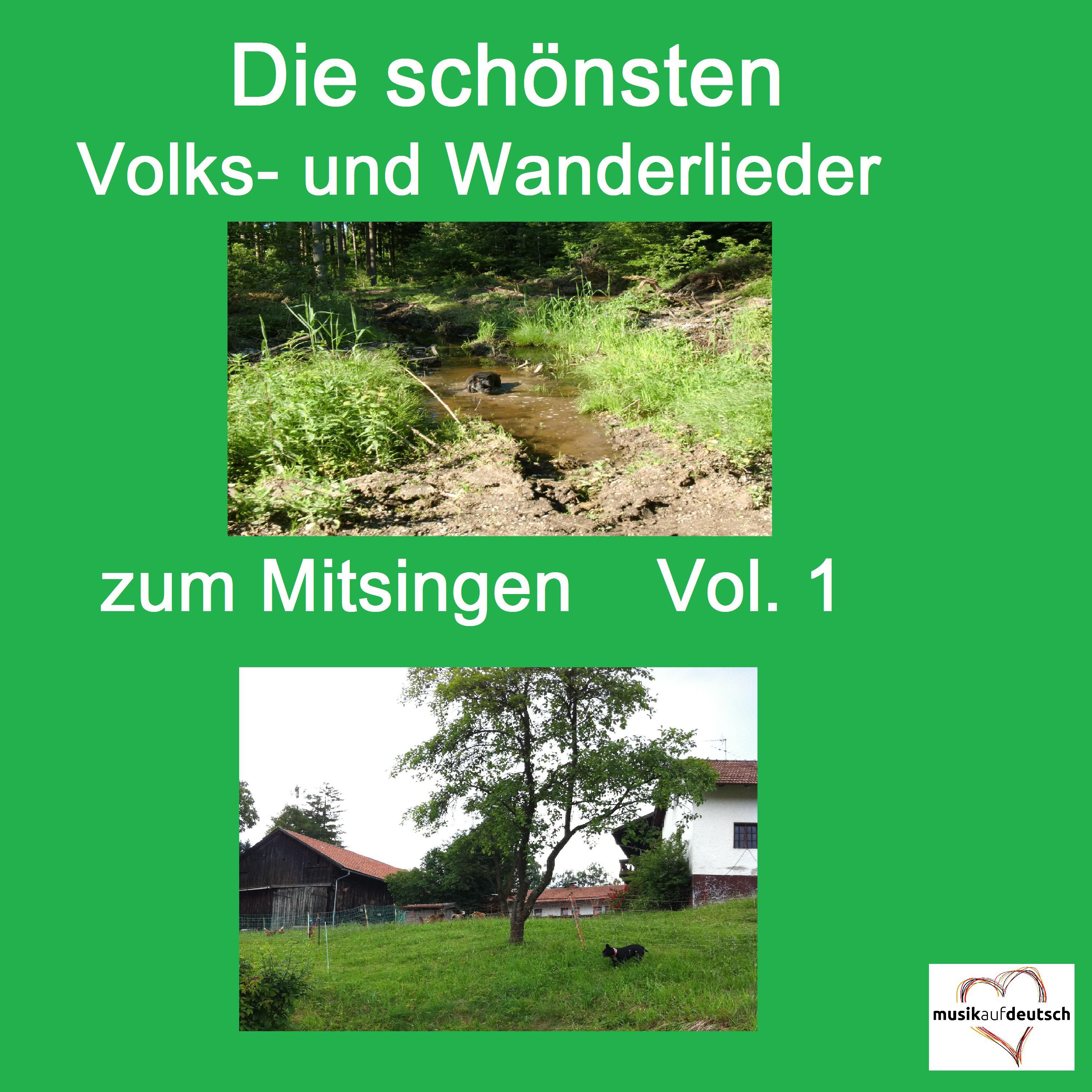 Top 30: Die sch nsten Volks Und Wanderlieder zum Mitsingen, Vol. 1