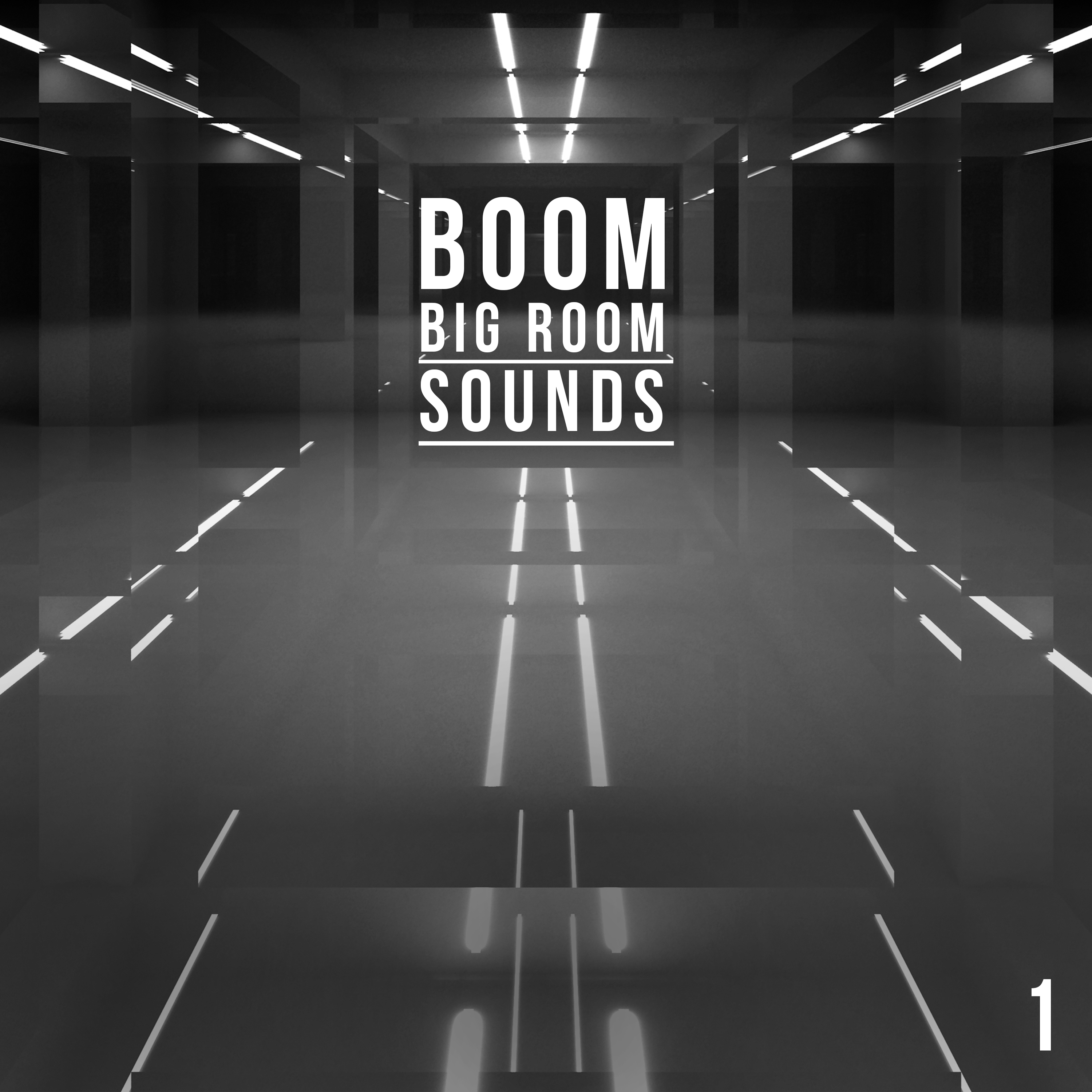 Boom, Vol. 1 - Big Room Sounds