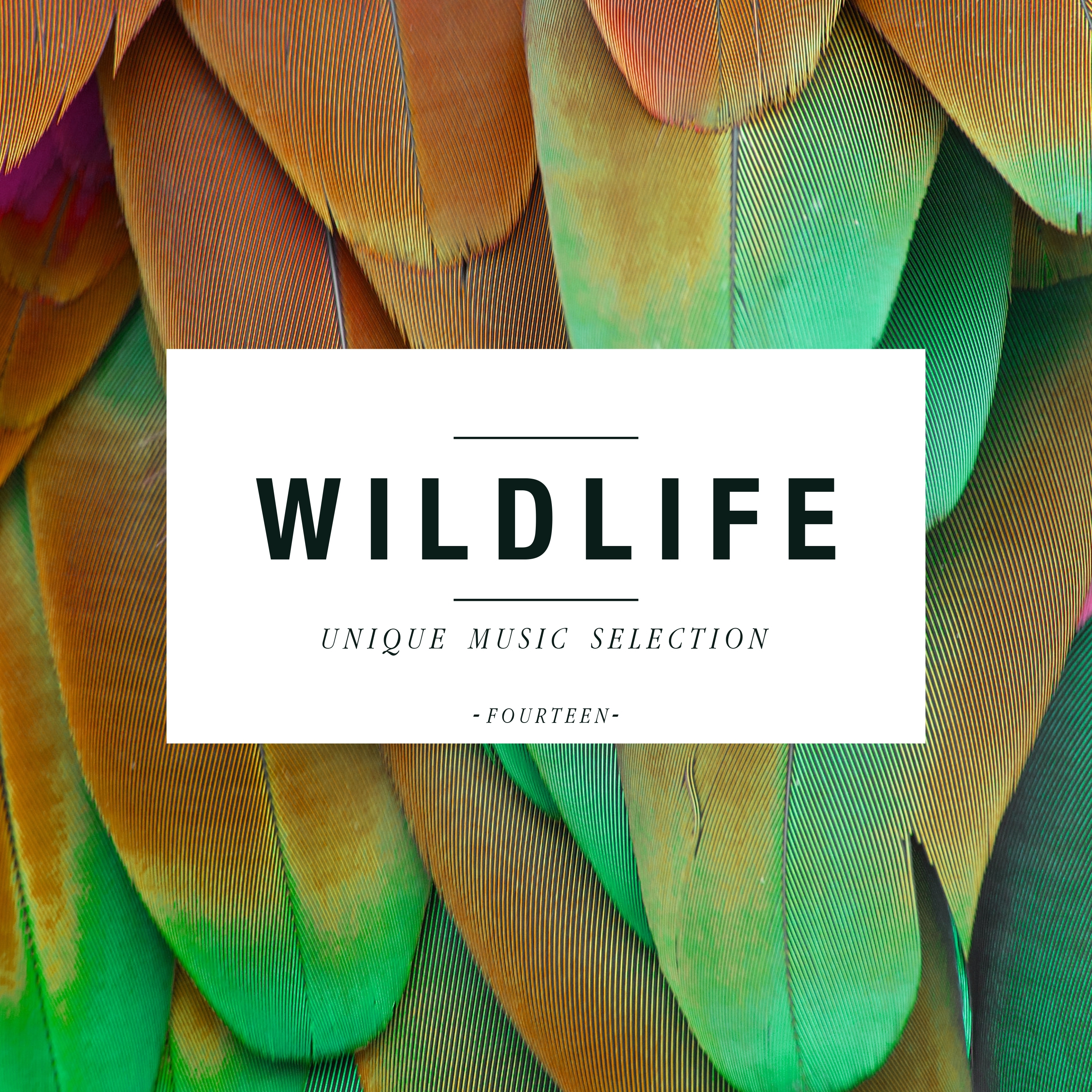 Wildlife - Unique Music Selection, Vol. 14