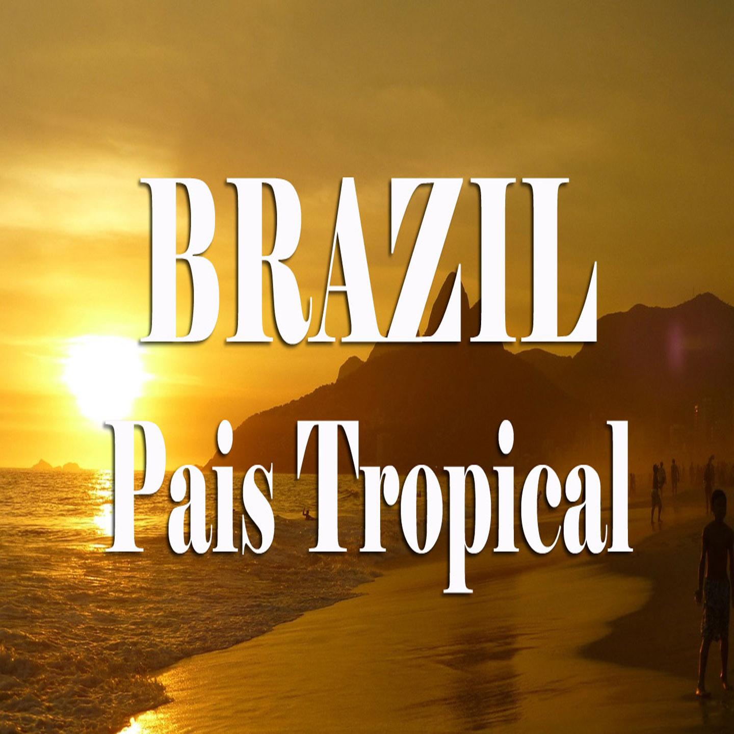 The Best Of Brasil Music Pai s Tropical