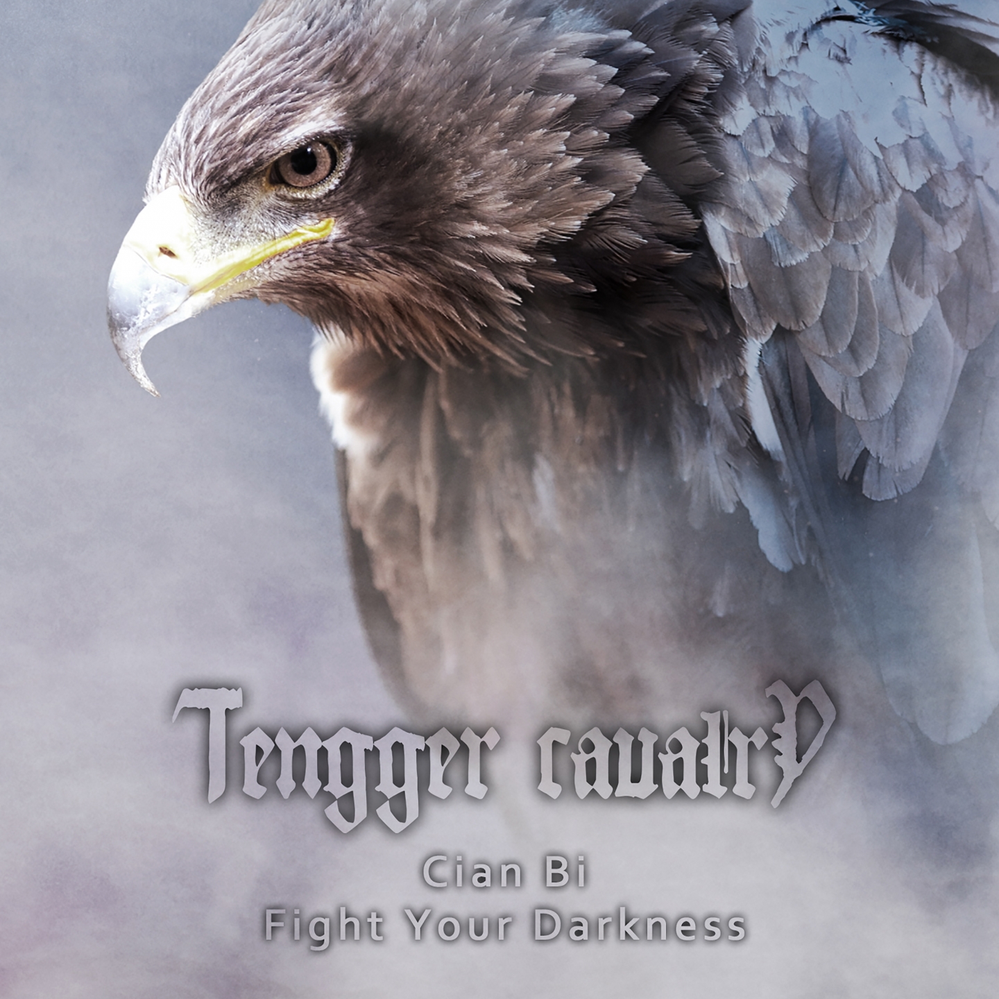 Cian-Bi (Fight Your Darkness)