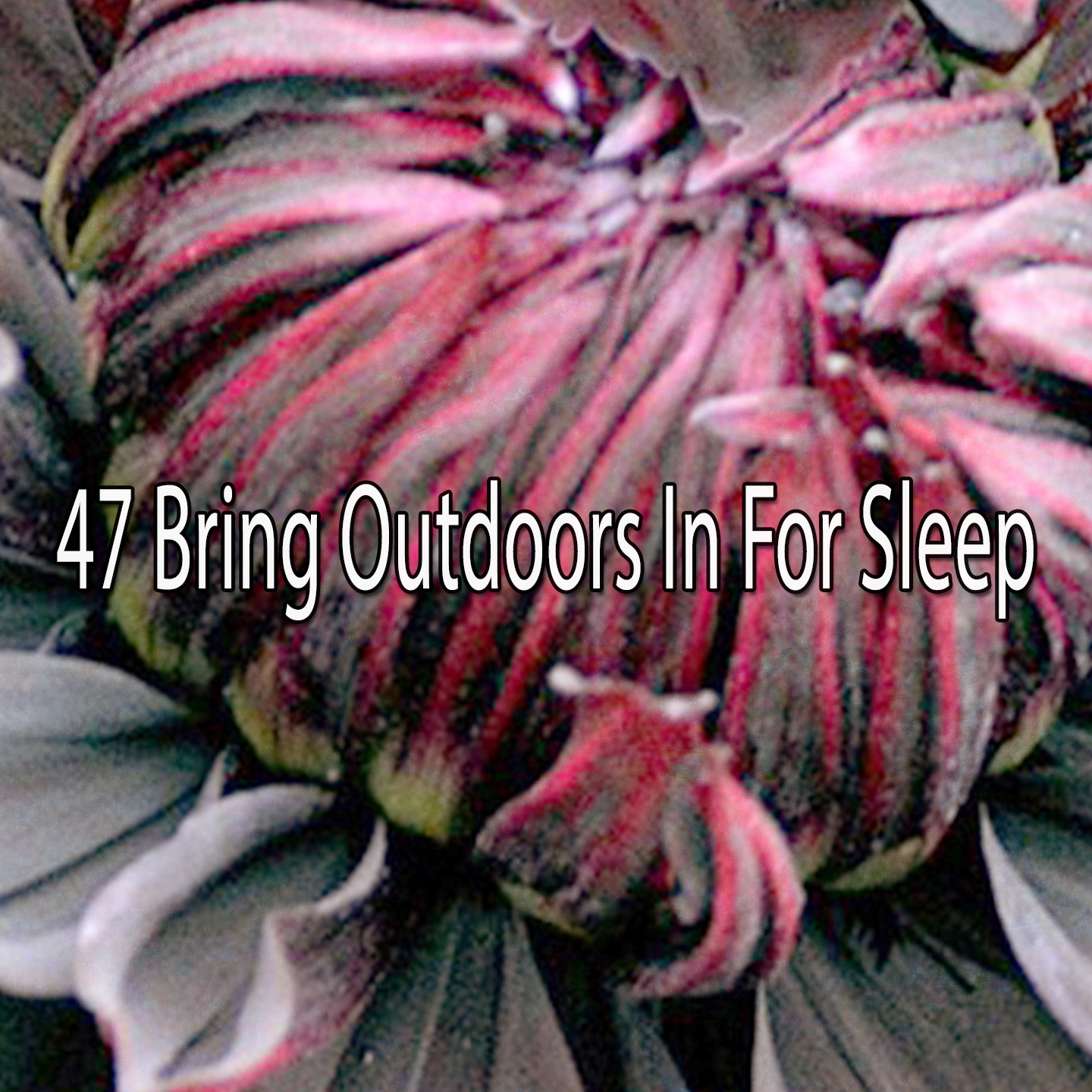 47 Bring Outdoors In For Sleep