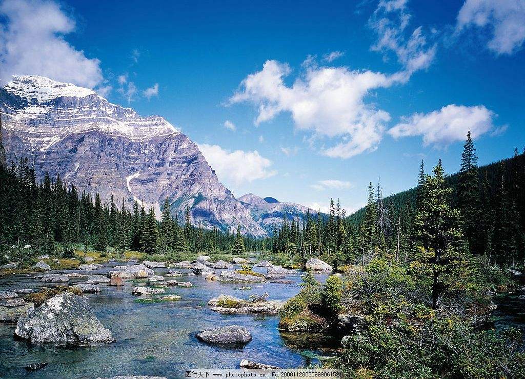 ni yao wo wang ji ni