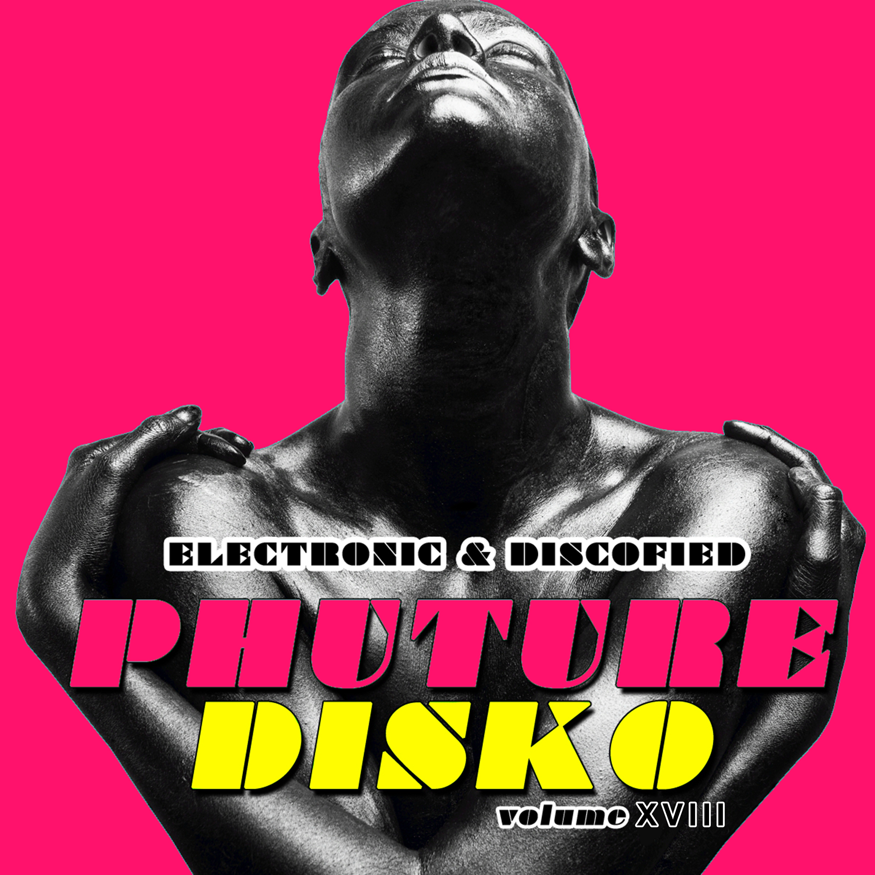 Phuture Disko, Vol. 18 - Electronic & Discofied