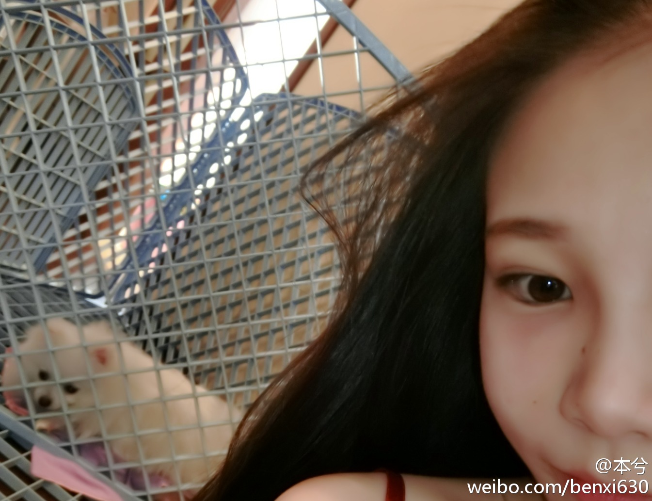 ji nian cover ben xi