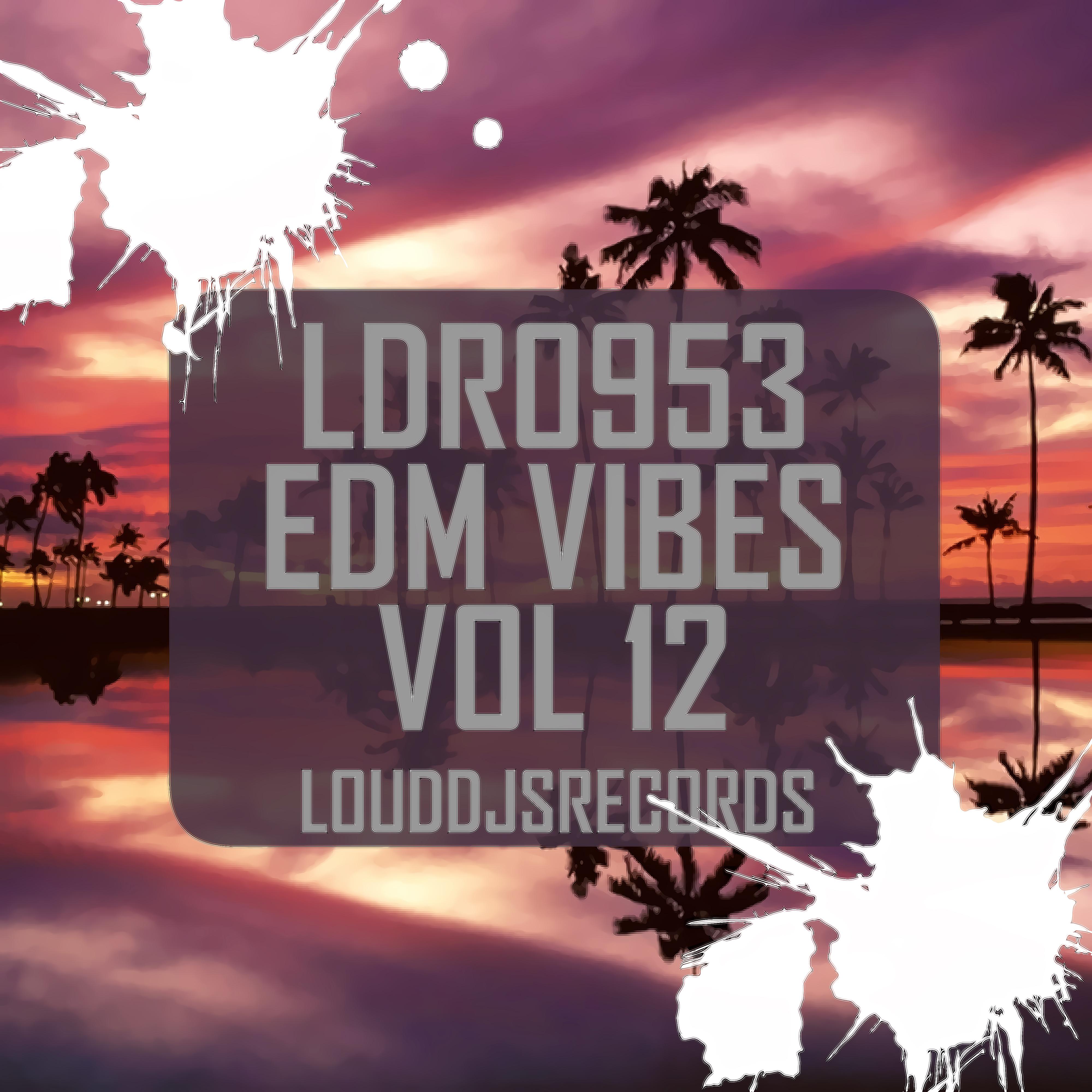 EDM Vibes, Vol. 12