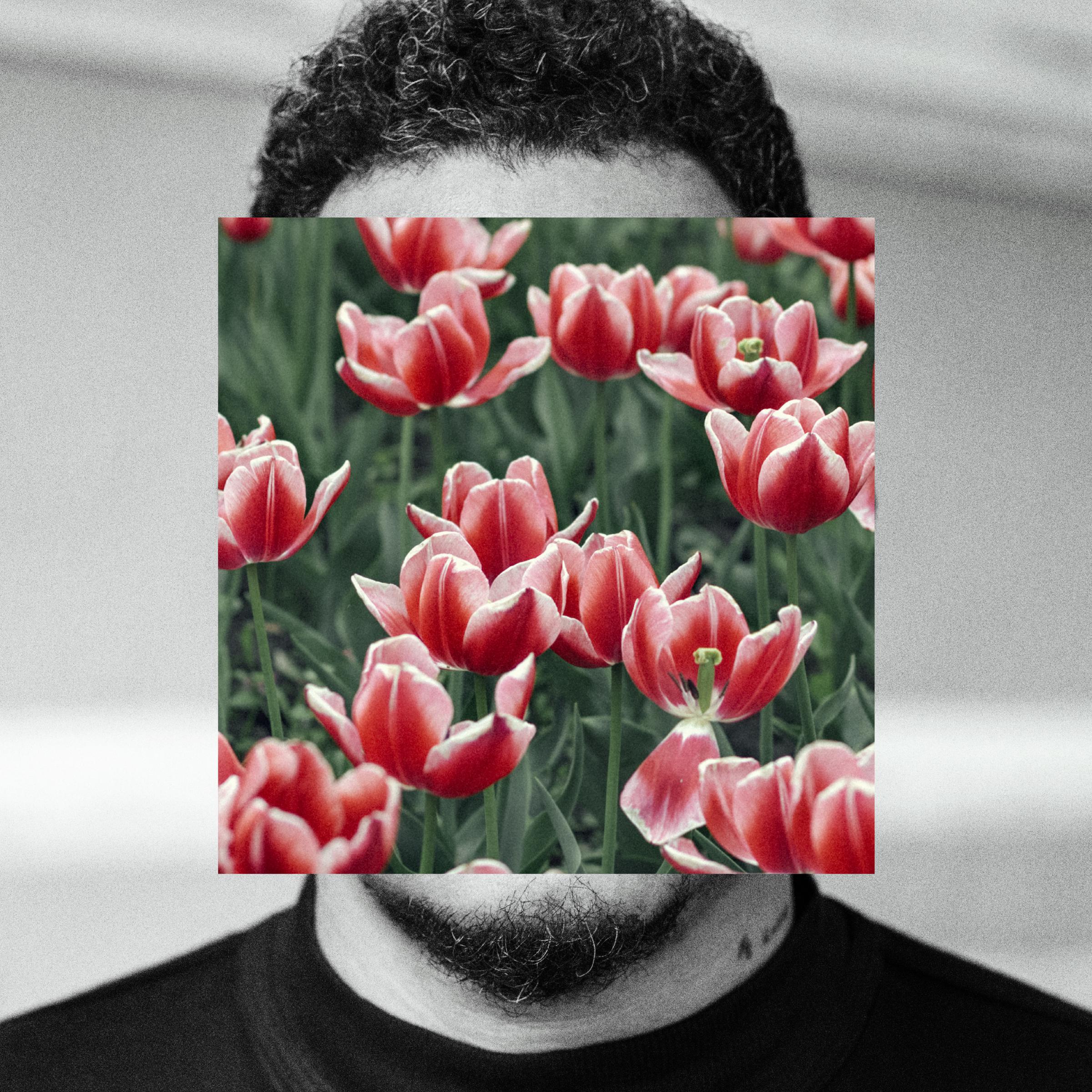 AMAR e para os FORTES