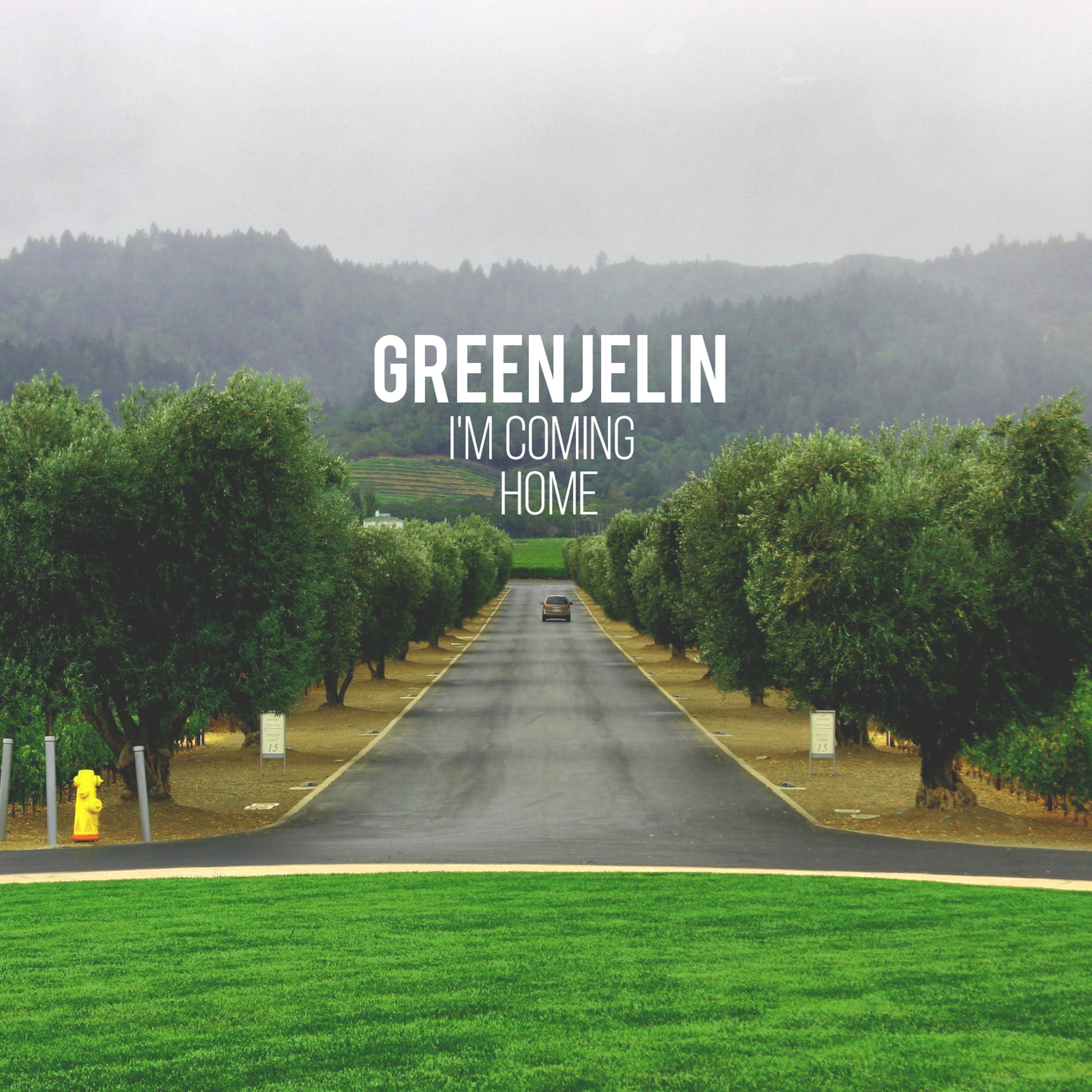 I m coming he said. Greenjelin. Coming Home. I'M coming Home Extended Mix Greenjelin. Ашер — coming Home.