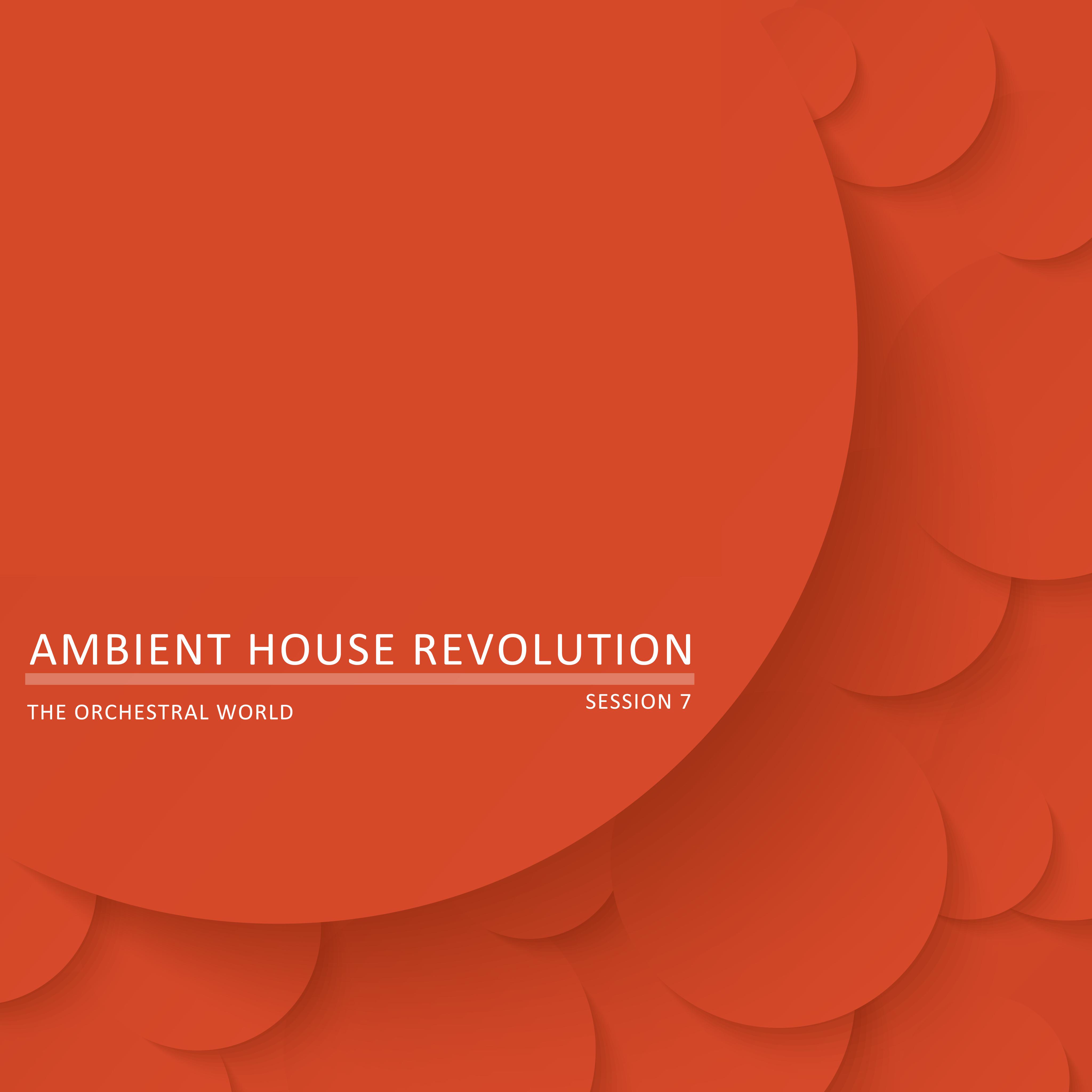Ambient House Revolution, Session 7 - The Orchestral World