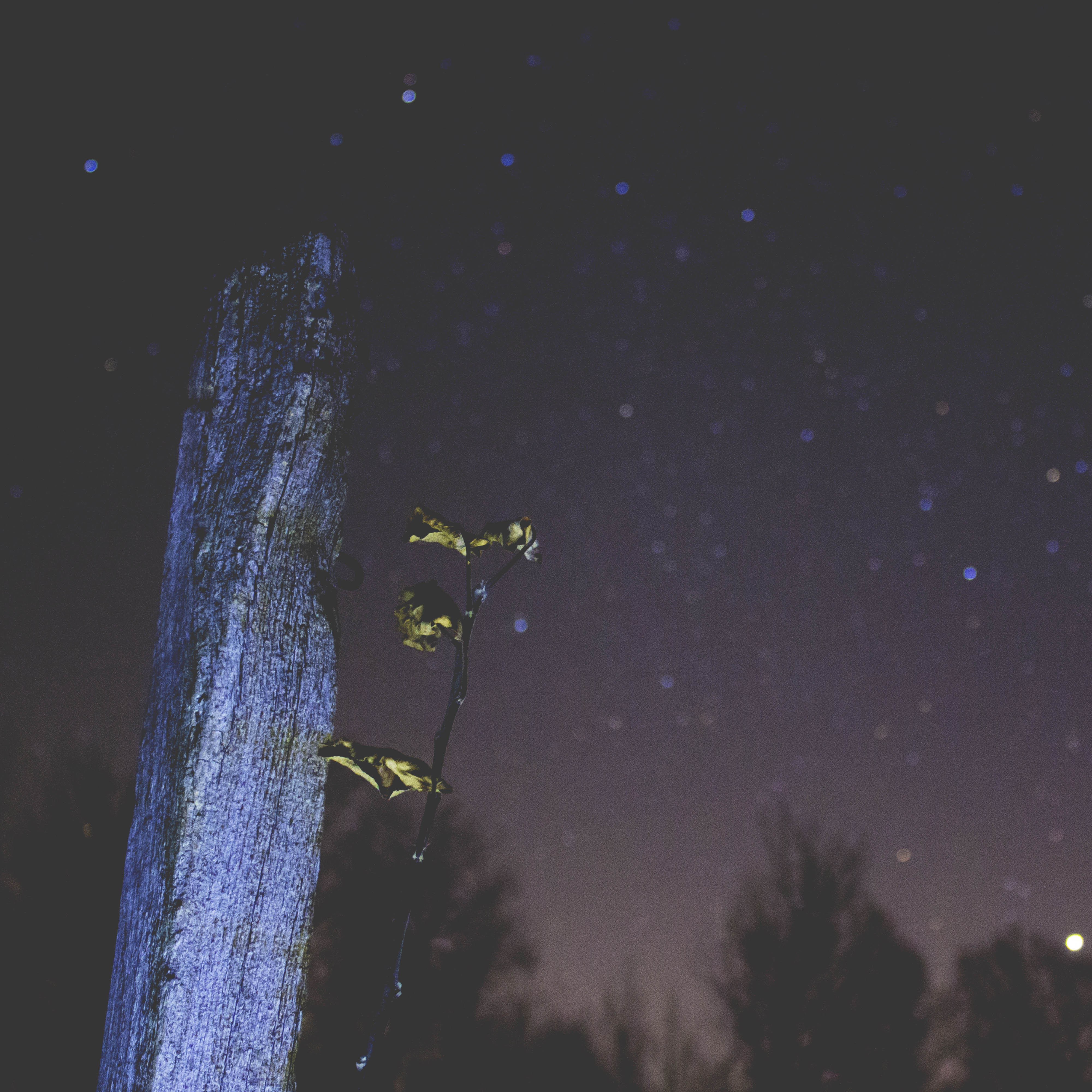 Ningue m Explica Deus