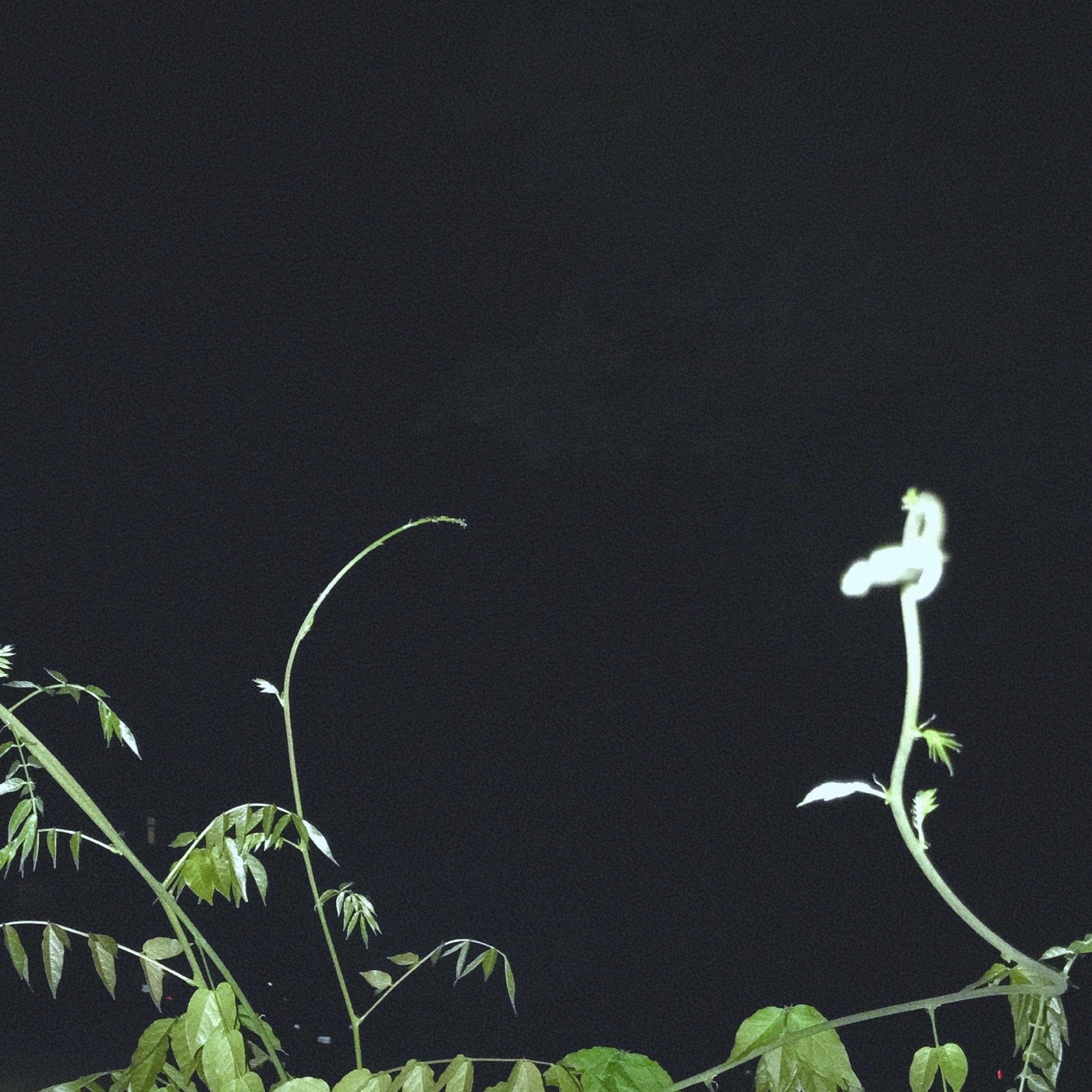 How to Deal with Homesickness