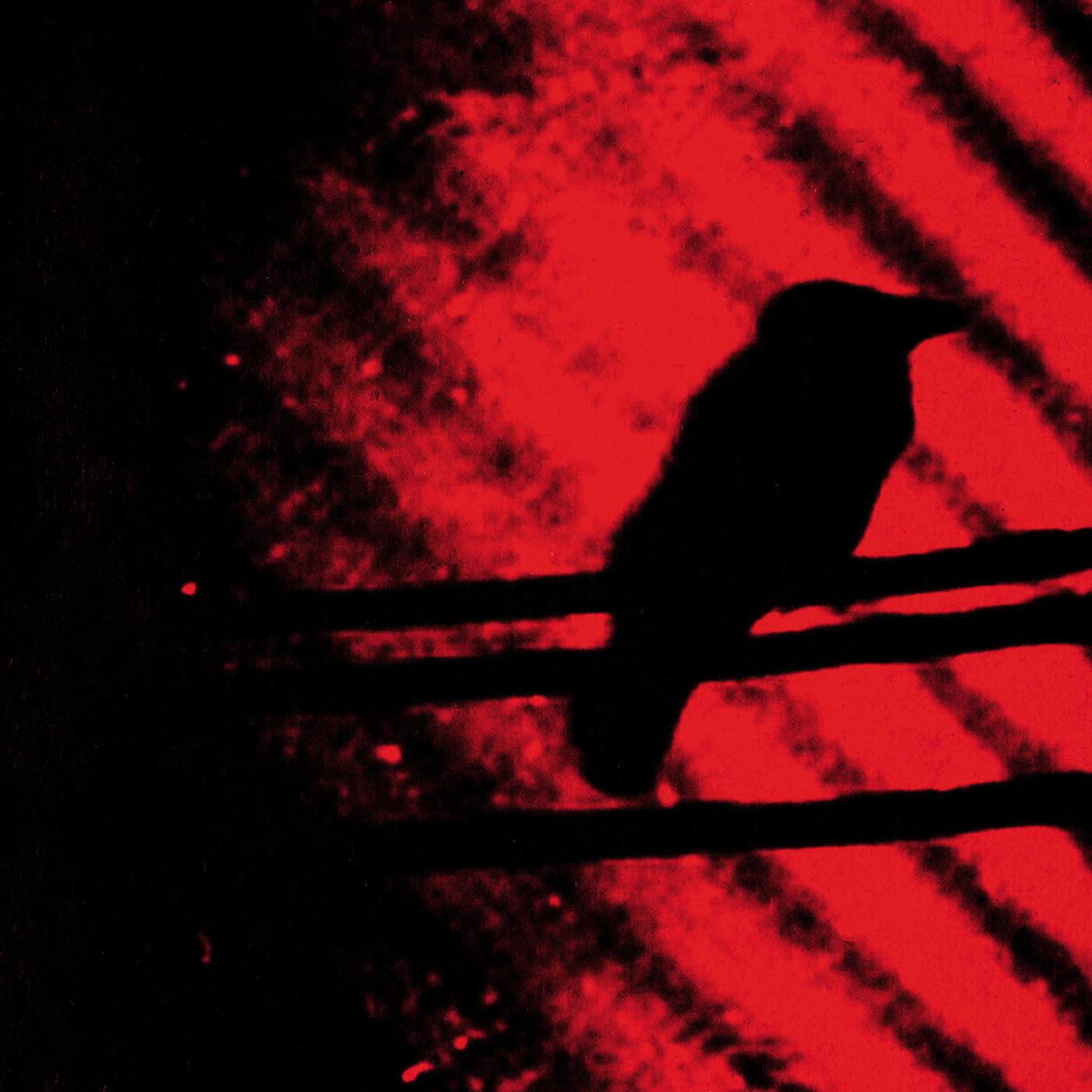 The Triumph Of Our Tired Eyes