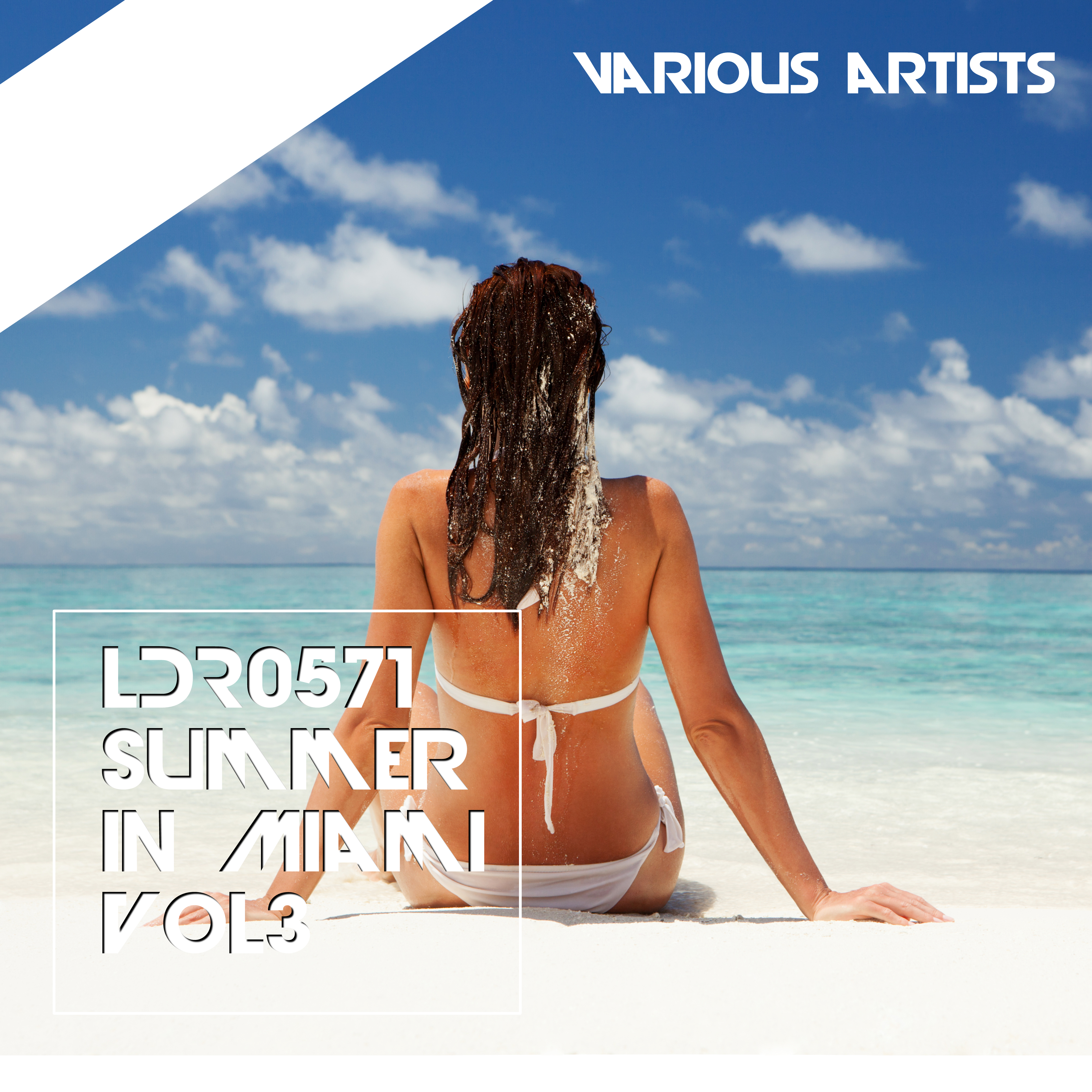 Summer in Miami, Vol. 3