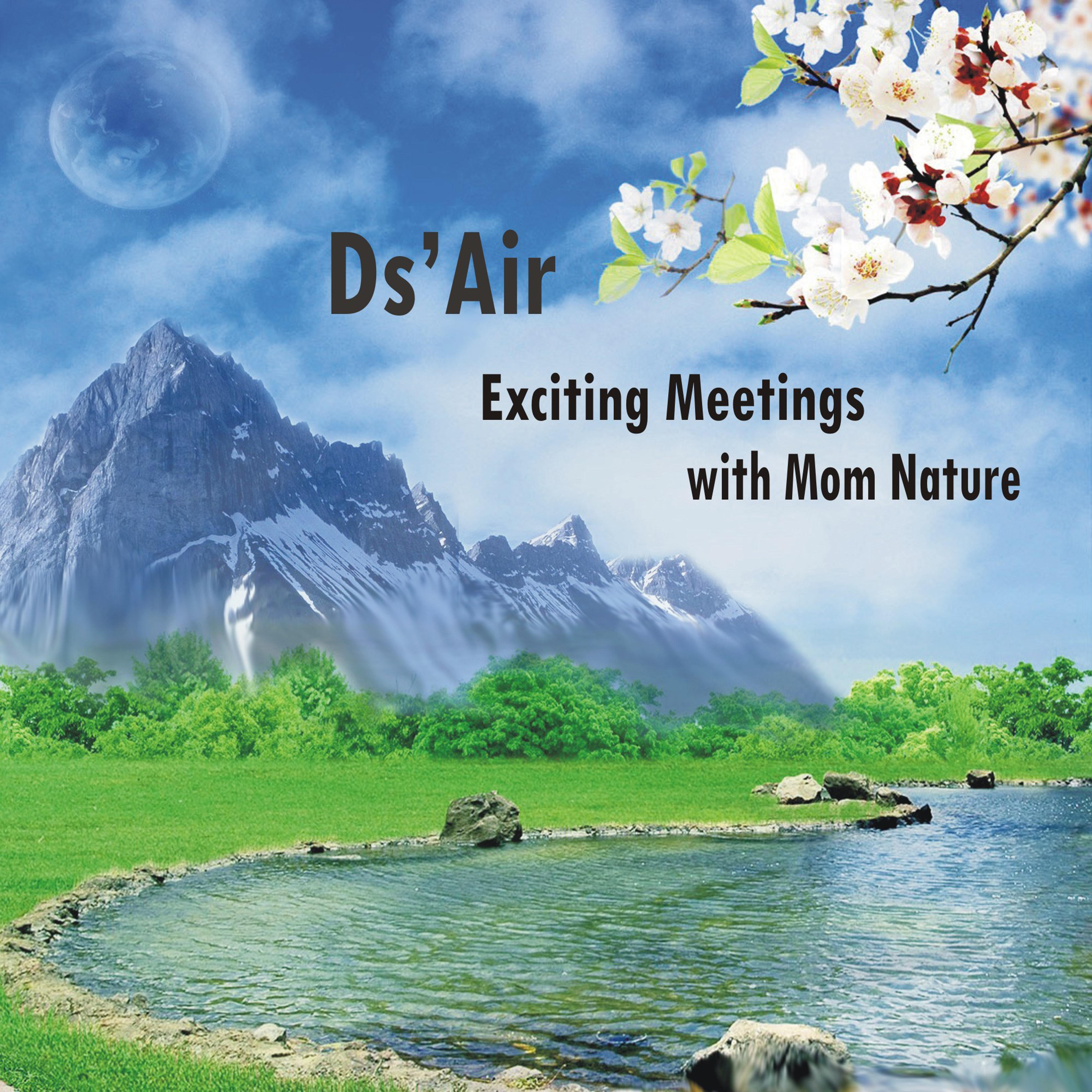 Quiet Night Under Sea of Stars