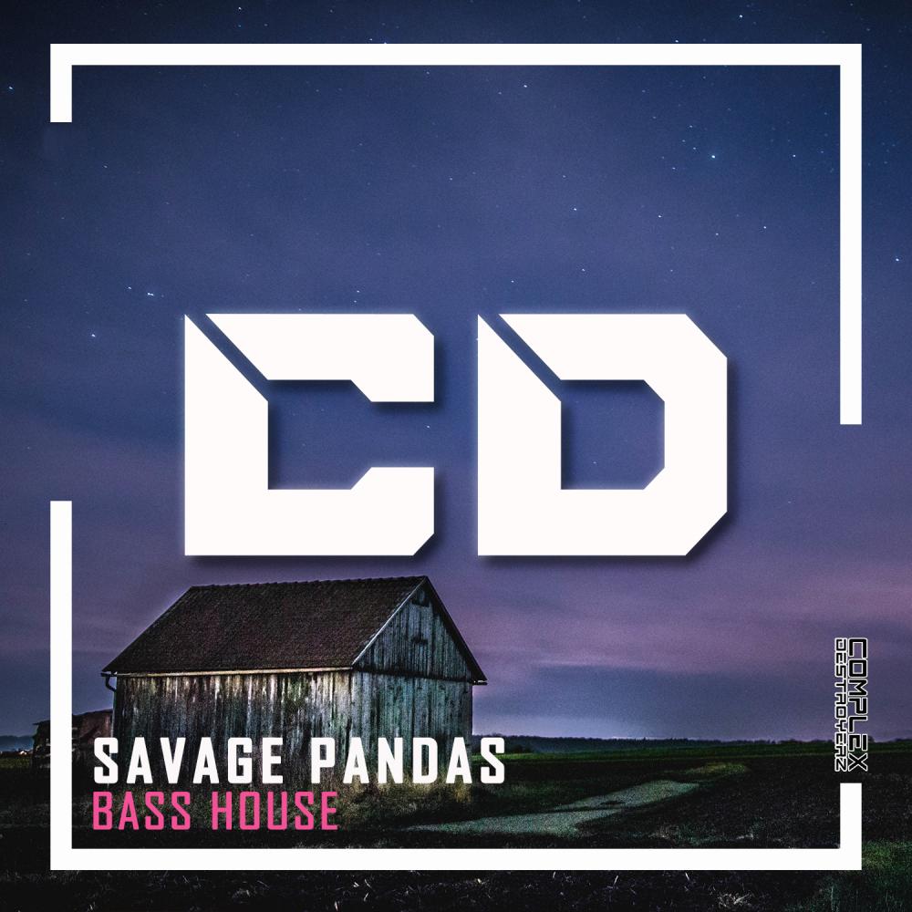 Bass House (Original Mix)