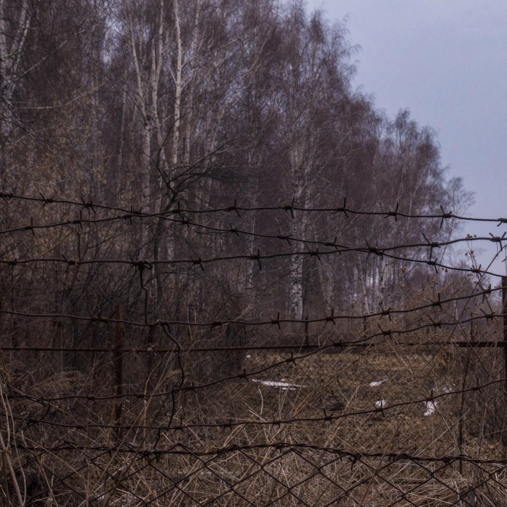 AllTheThingInMyMindIsMakingMeCryInside