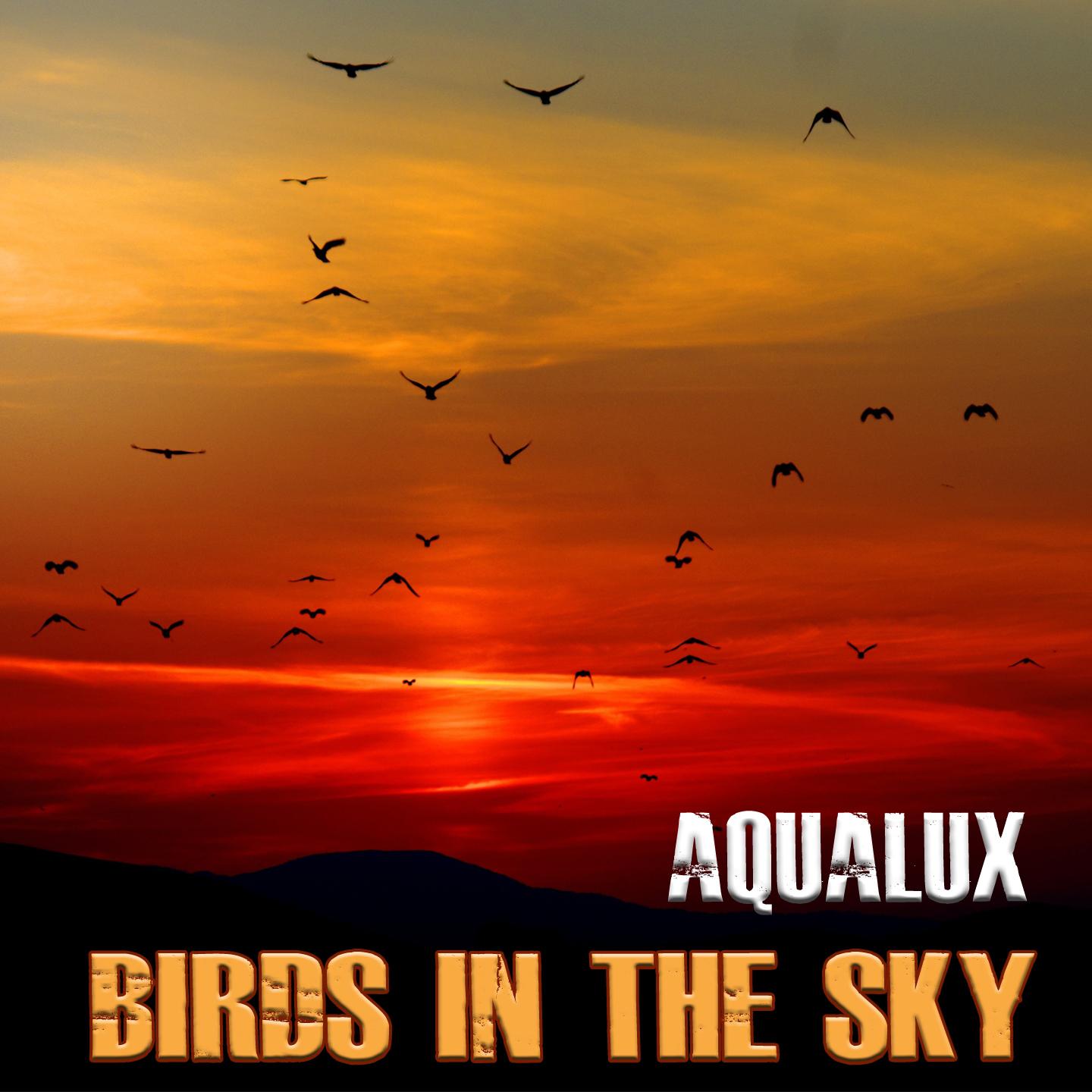 Birds in the Sky (R&B Vocal Lounge Mix)