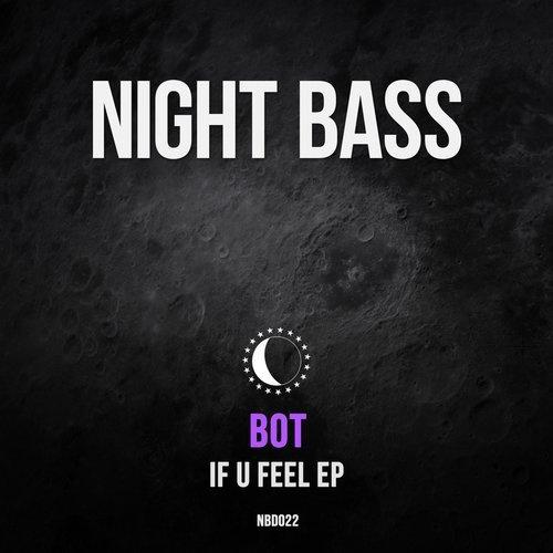 If U Feel (Dub)(Original Mix)