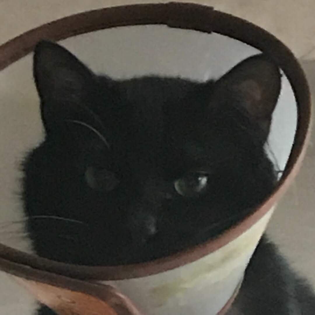 relaxxing.[free beat]