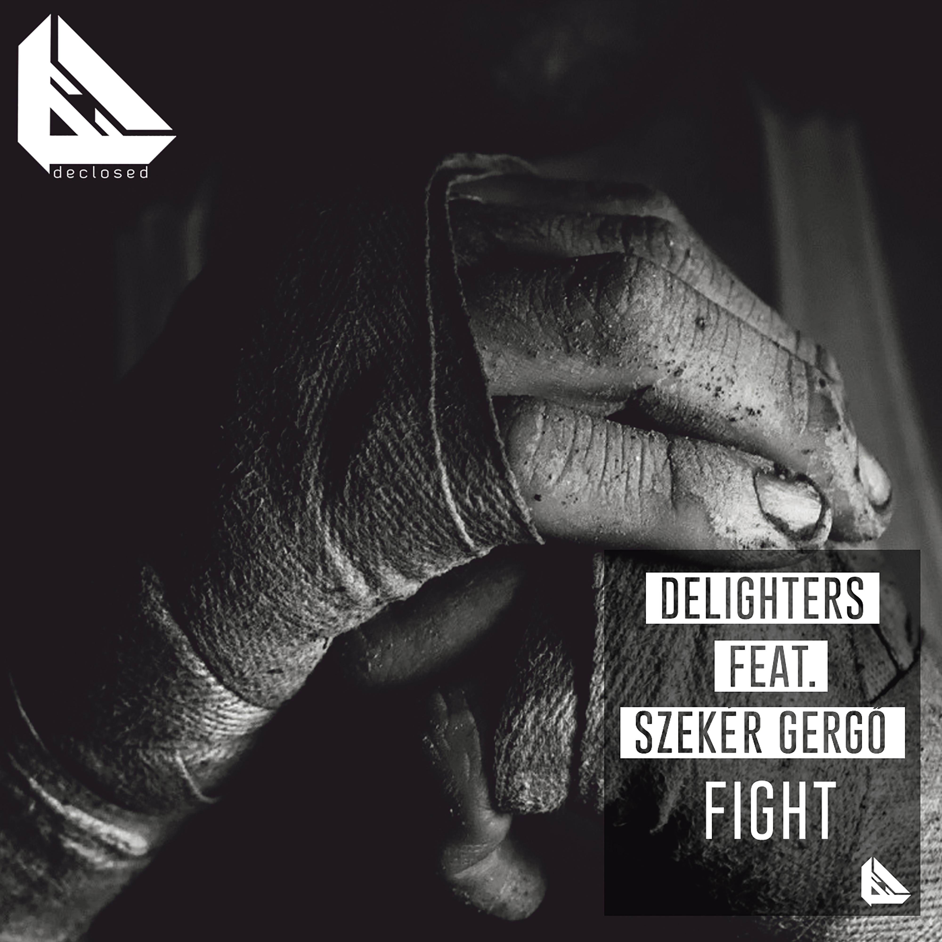 Fight (Roger Slato Remix)