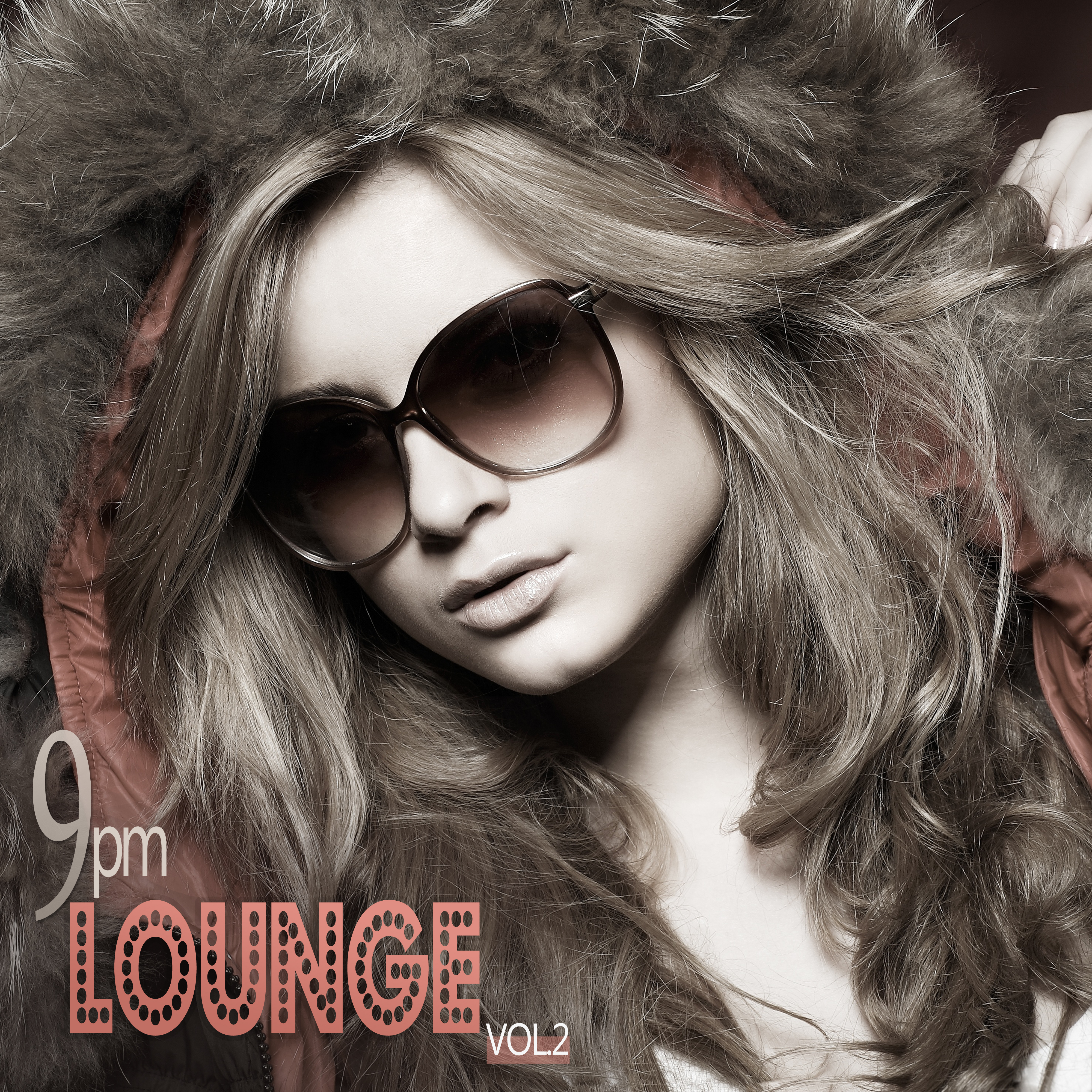 9pm Lounge, Vol. 2 (The Party Starters, Dilution of R&B & Hip-Hop)