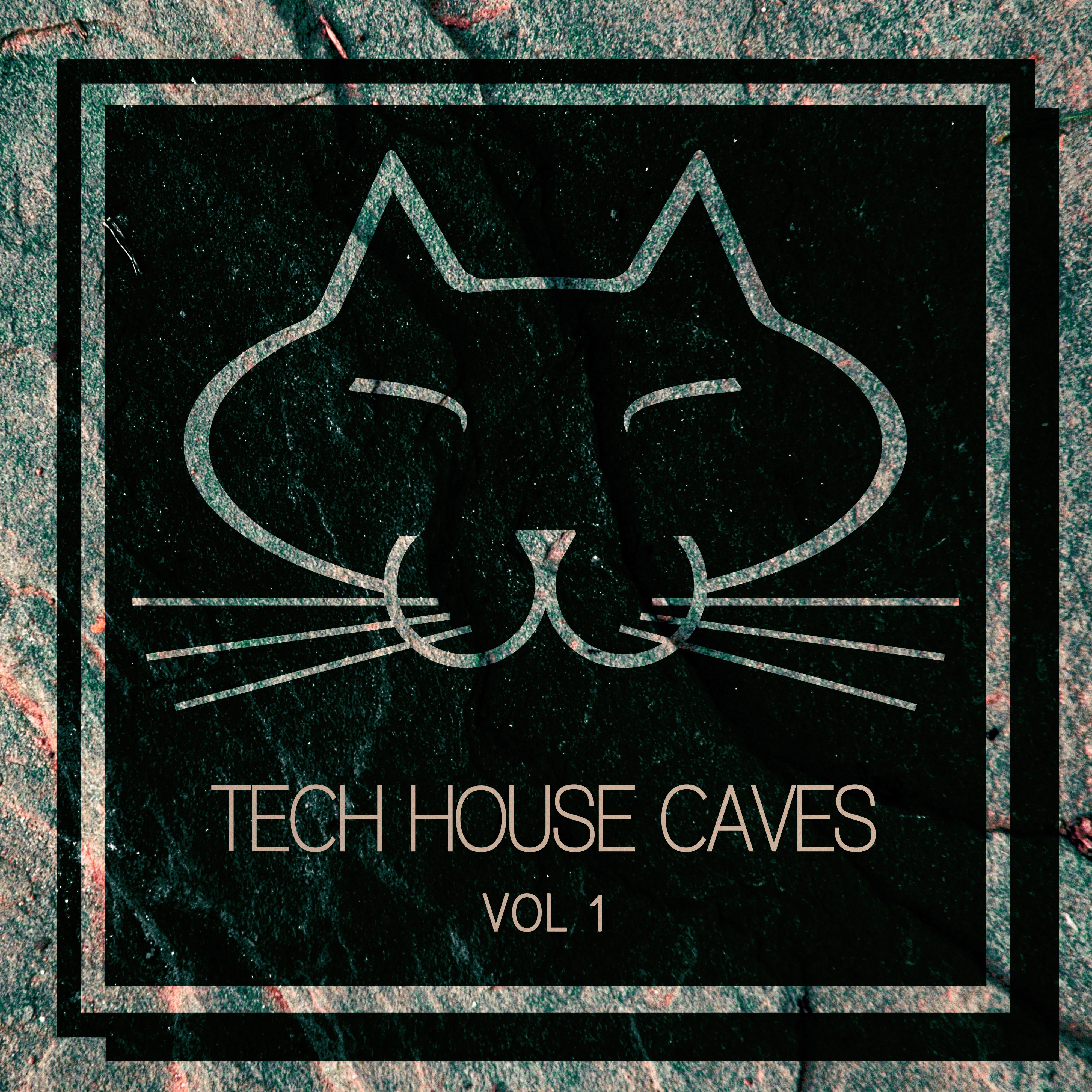 Tech House Caves, Vol. 1