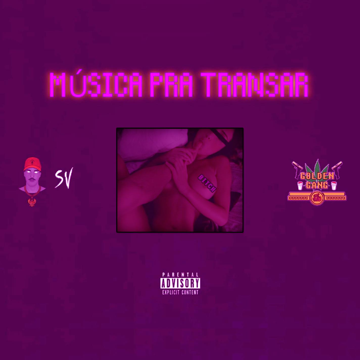 Mu sica pra Transar