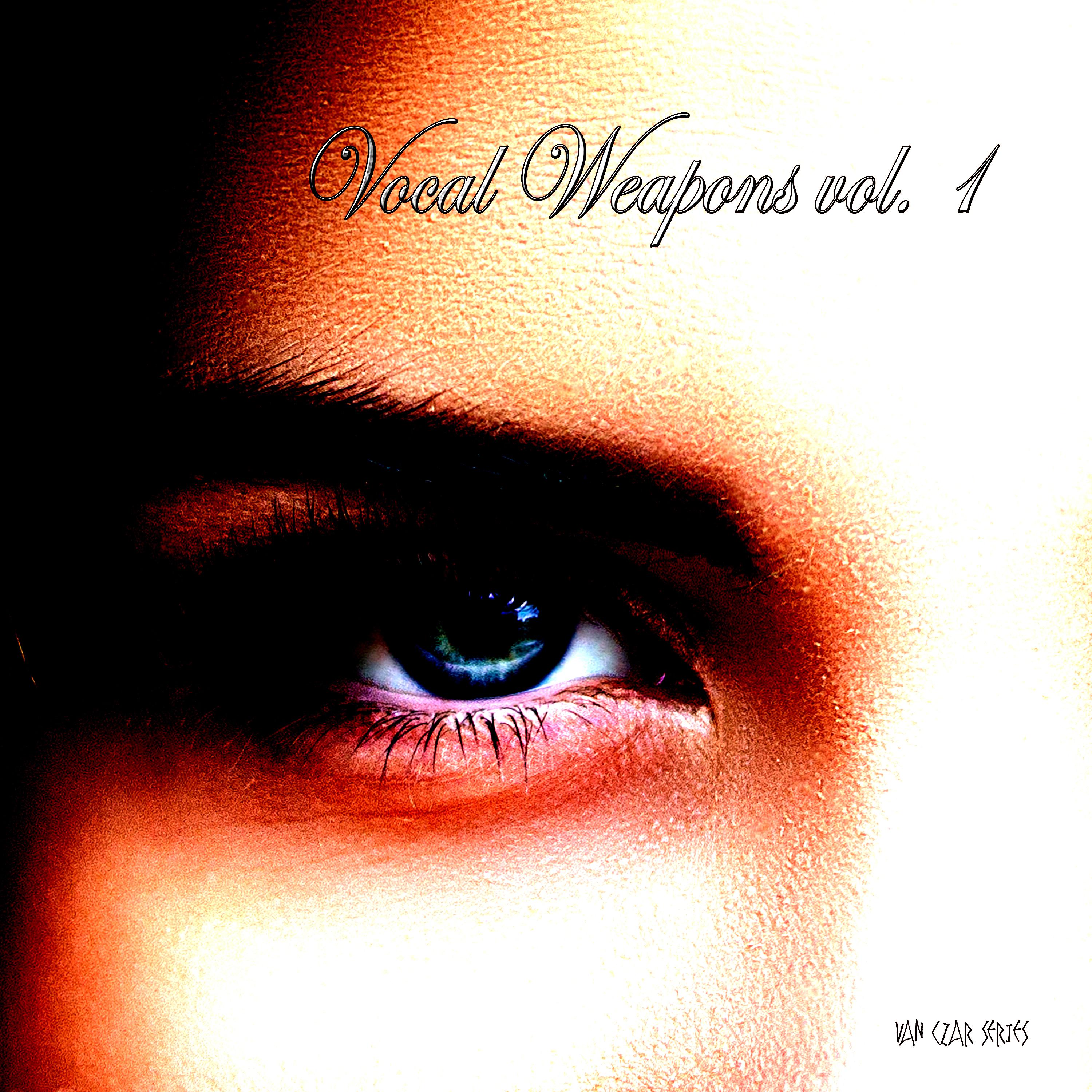 Artwork Vocal Weapons, Vol. 1 (Mixed By Disco Van) [Continuous DJ Mix]