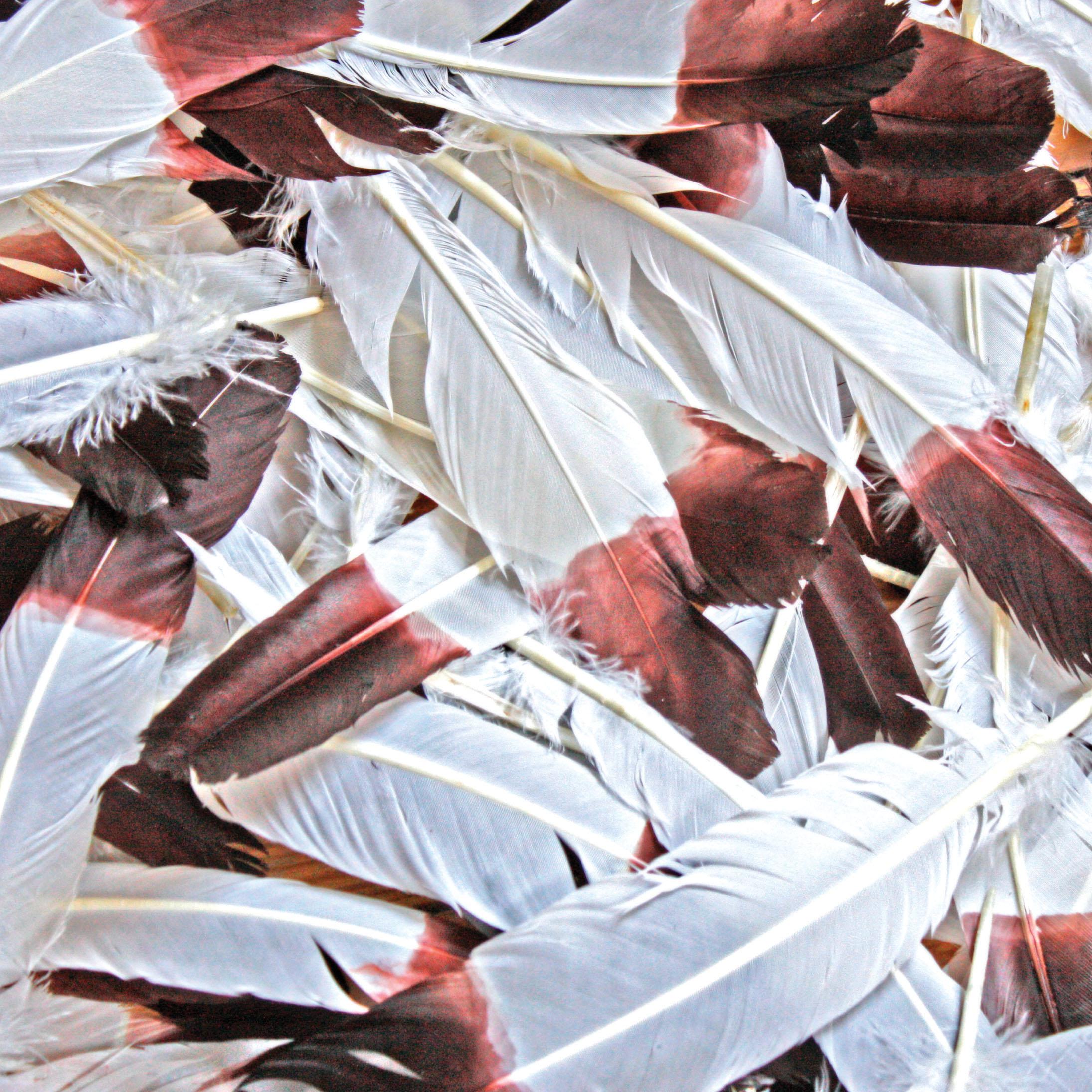 Loved-Up (Cosimo's Lost Paradise Version)