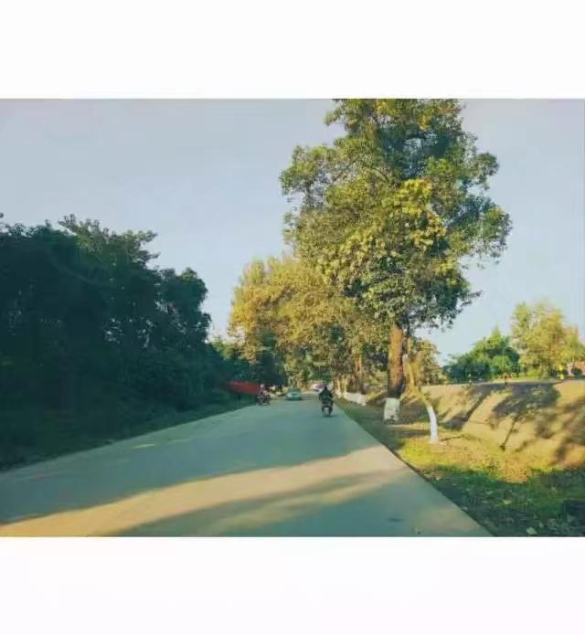 ai qing bu zai er hai bian