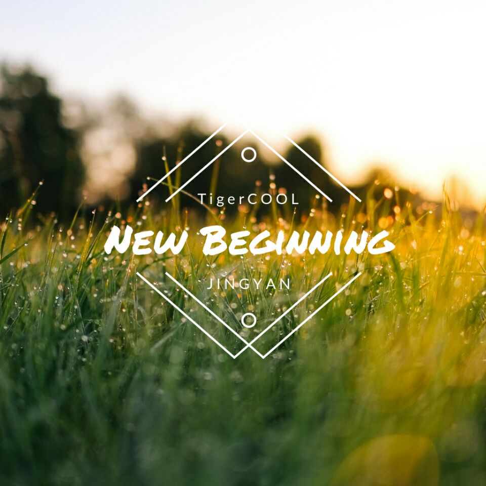 New  Beginning