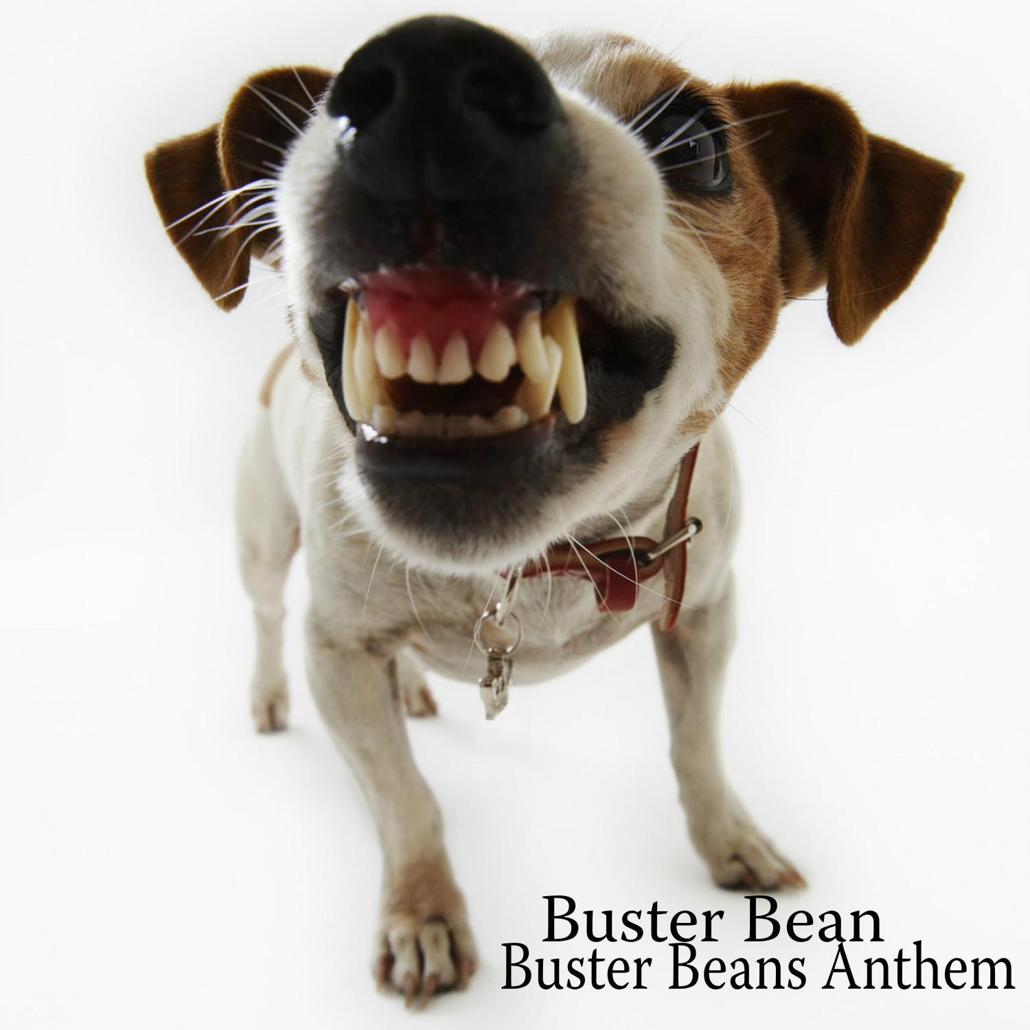 Buster Beans Anthem
