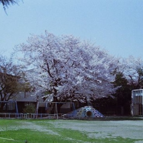 Chicano Rap Gangster