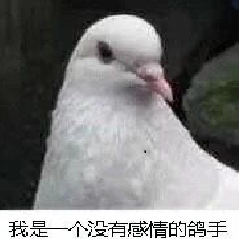mei you ren ting de B zhan zhi bo zhu shi mian de ye wan zai chuang shang zhan zhuan fan ce ran hou hua le liang ge xiao shi xie chu lai de da you ge