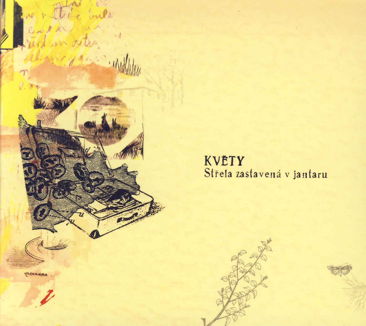 St ela zastavena v jantaru