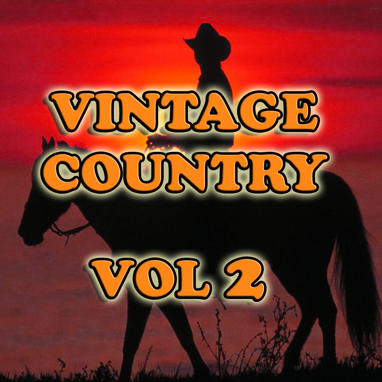 Vintage Country Vol 2