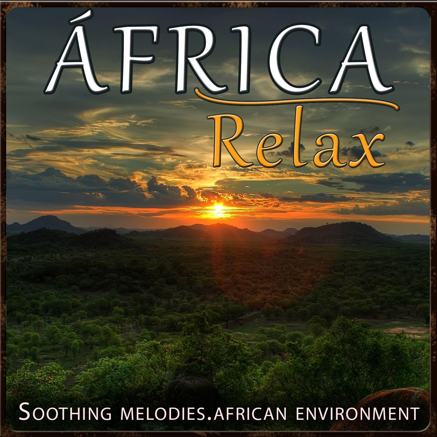 Paseando la Tranquilidad (Strolling Tranquility)