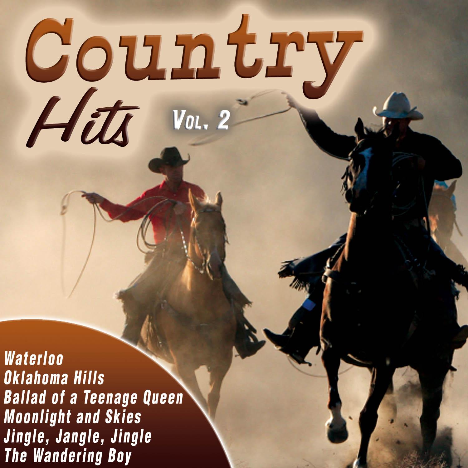 Country Hits Vol.2