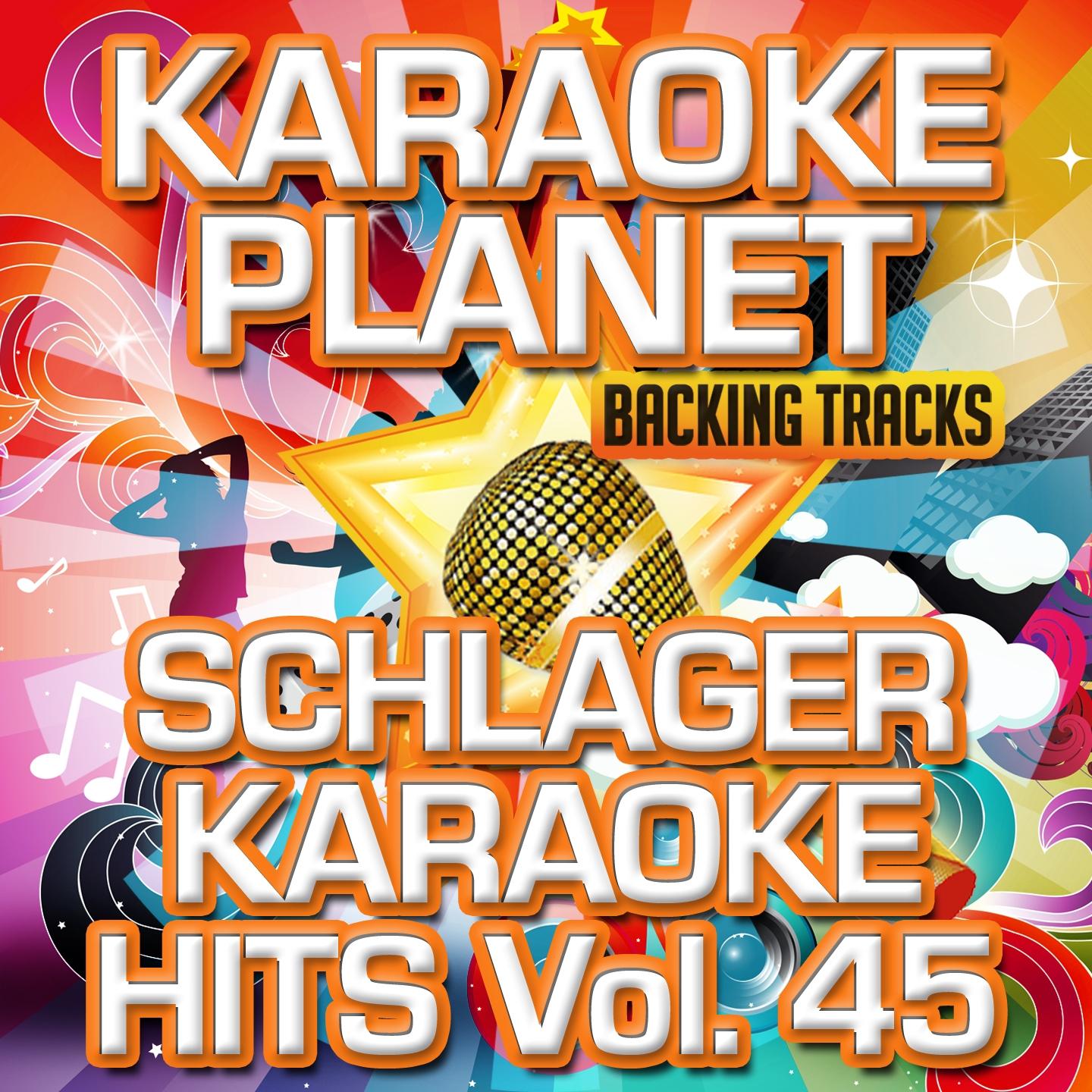 Schlager Karaoke Hits, Vol. 45