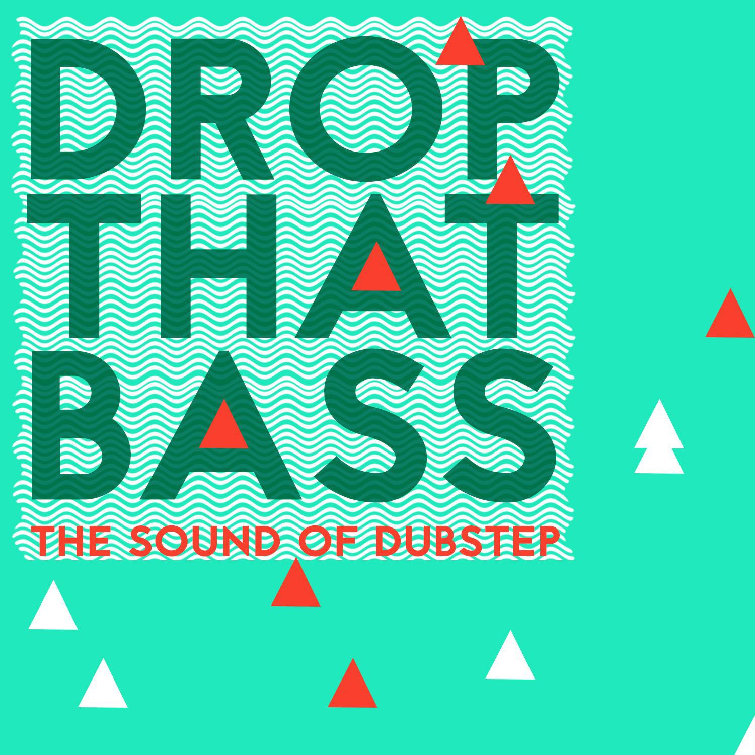 Drop That Bass: The Sound of Dubstep