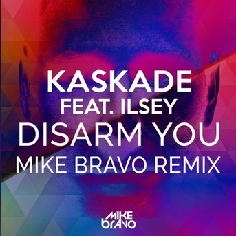 Disarm You (Mike Bravo Remix)