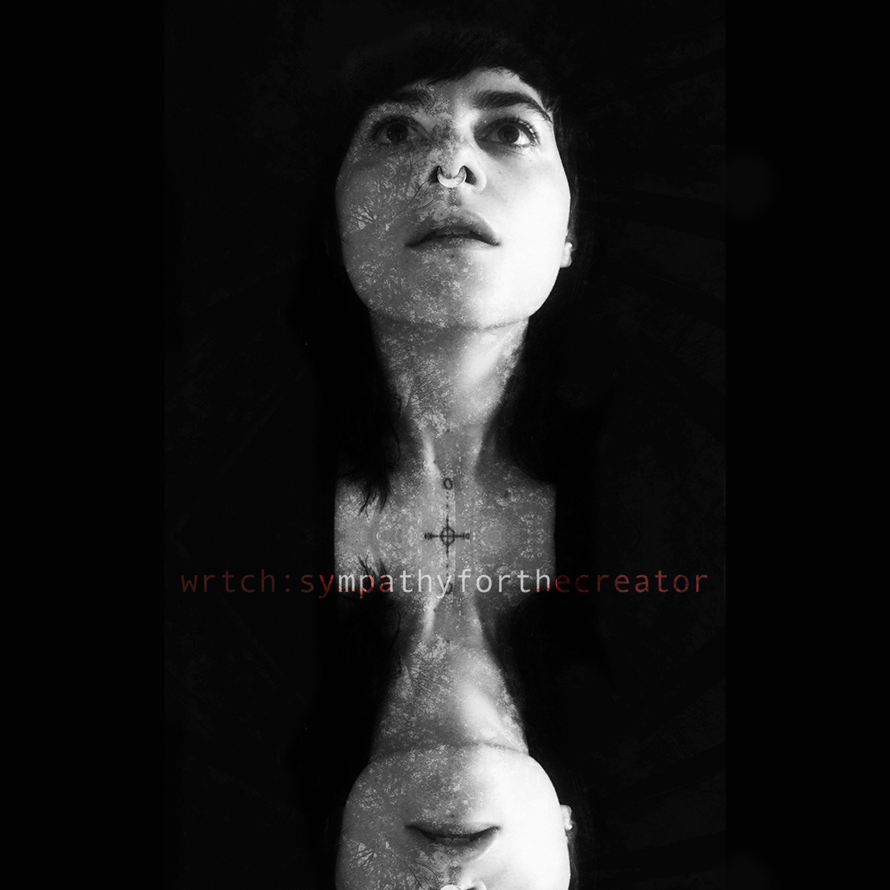 Sympathy for the Creator