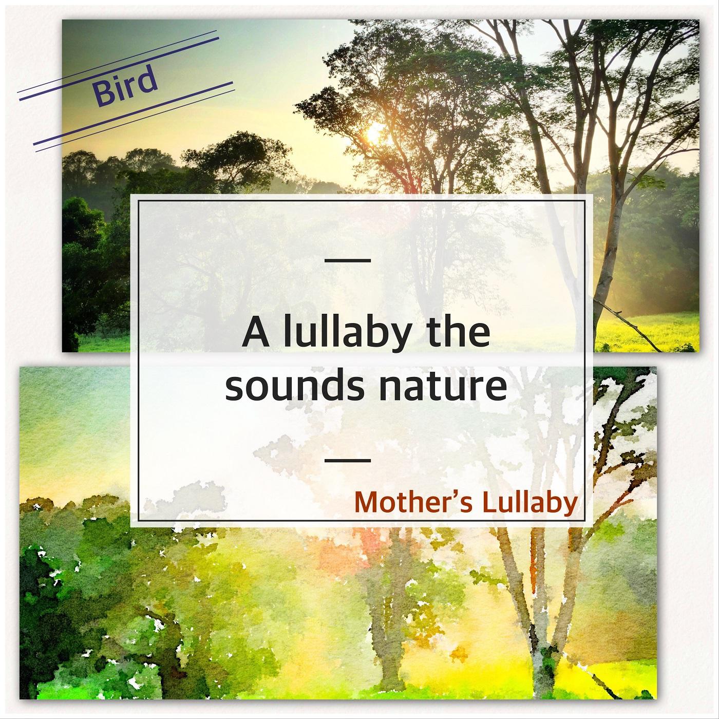 Head Shoulders Knees and Toes Bird Ver.