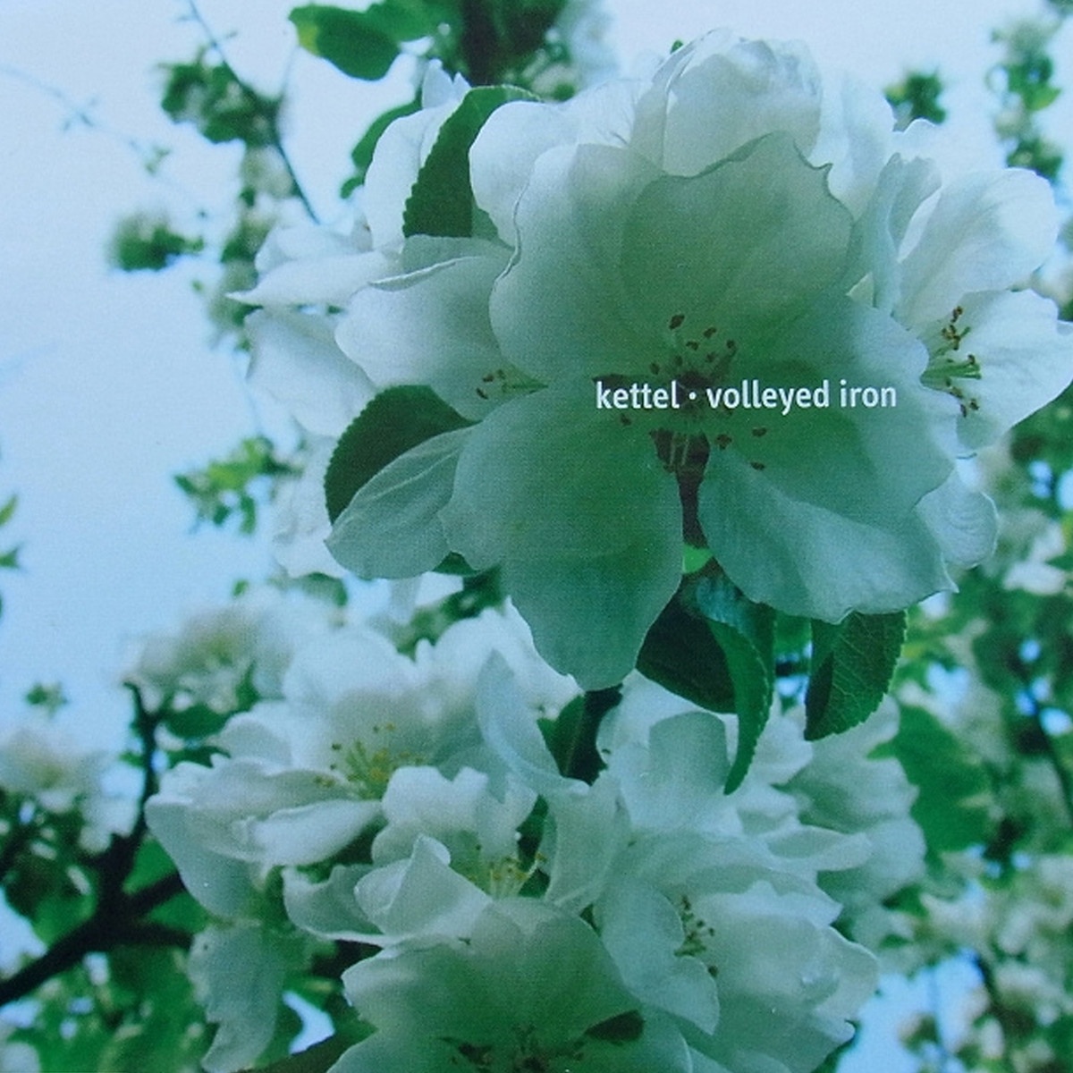 Little Duck, When Is Our Day?