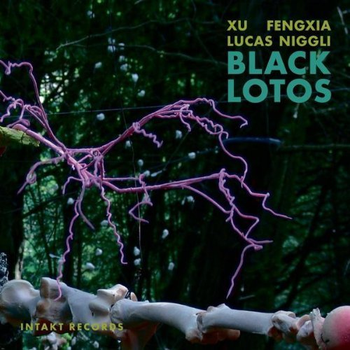 Fish-Lips & Duck-Feet