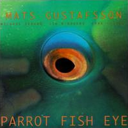 Parrot Fish Eye